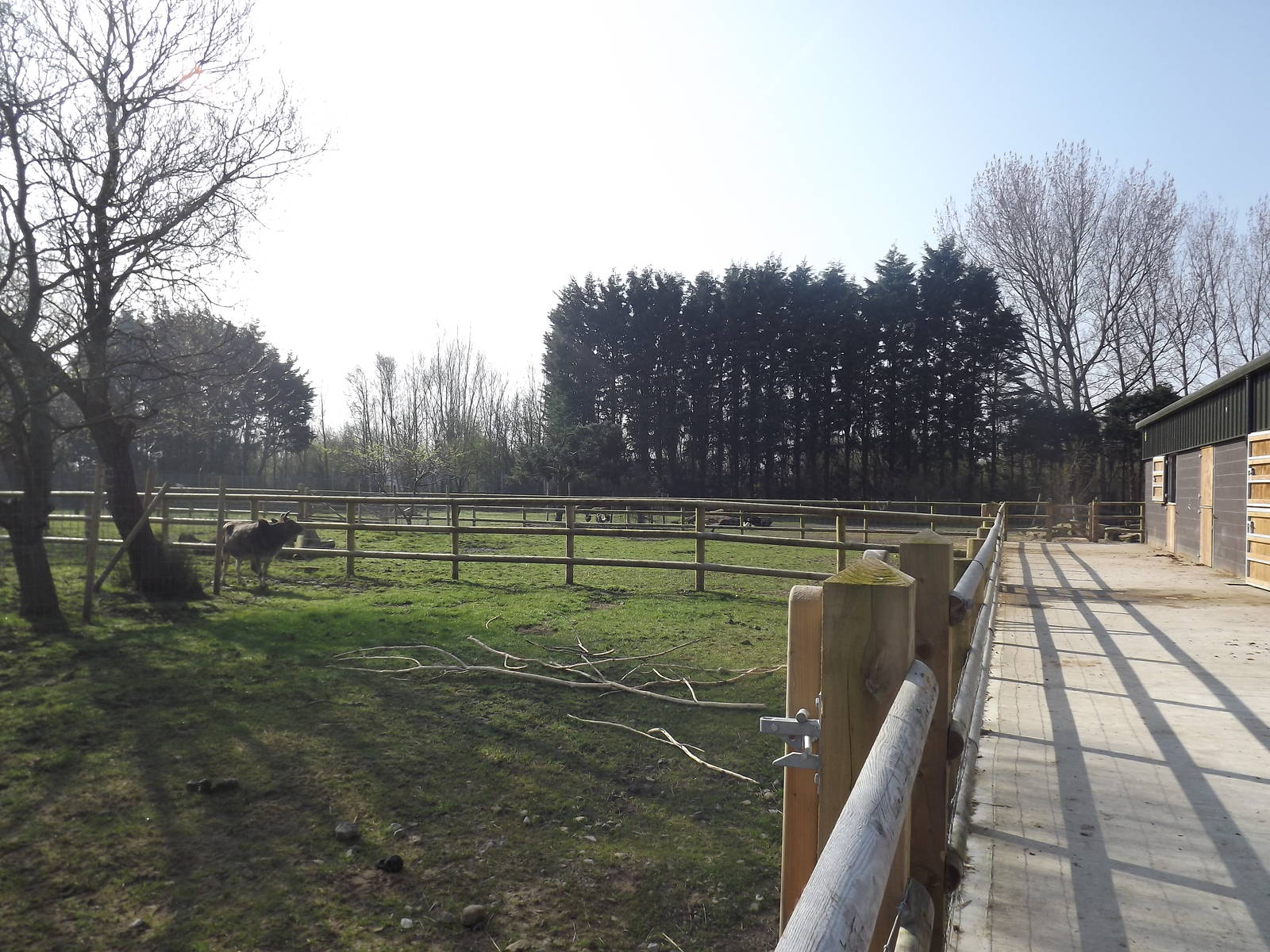 Farm paddocks at Blackpool Zoo 25/03/12