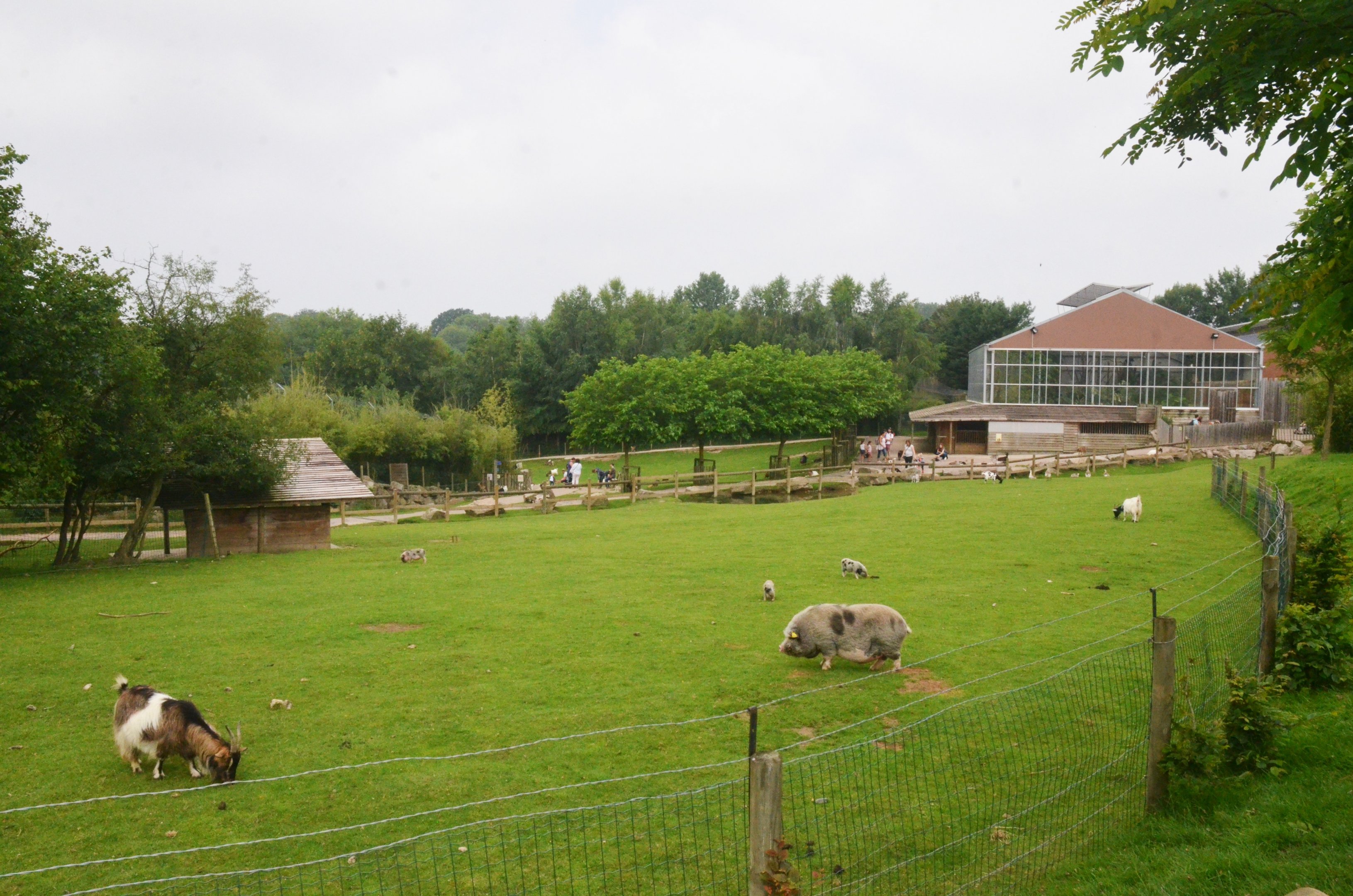 Farm Paddocks at CERZA, 10/06/18