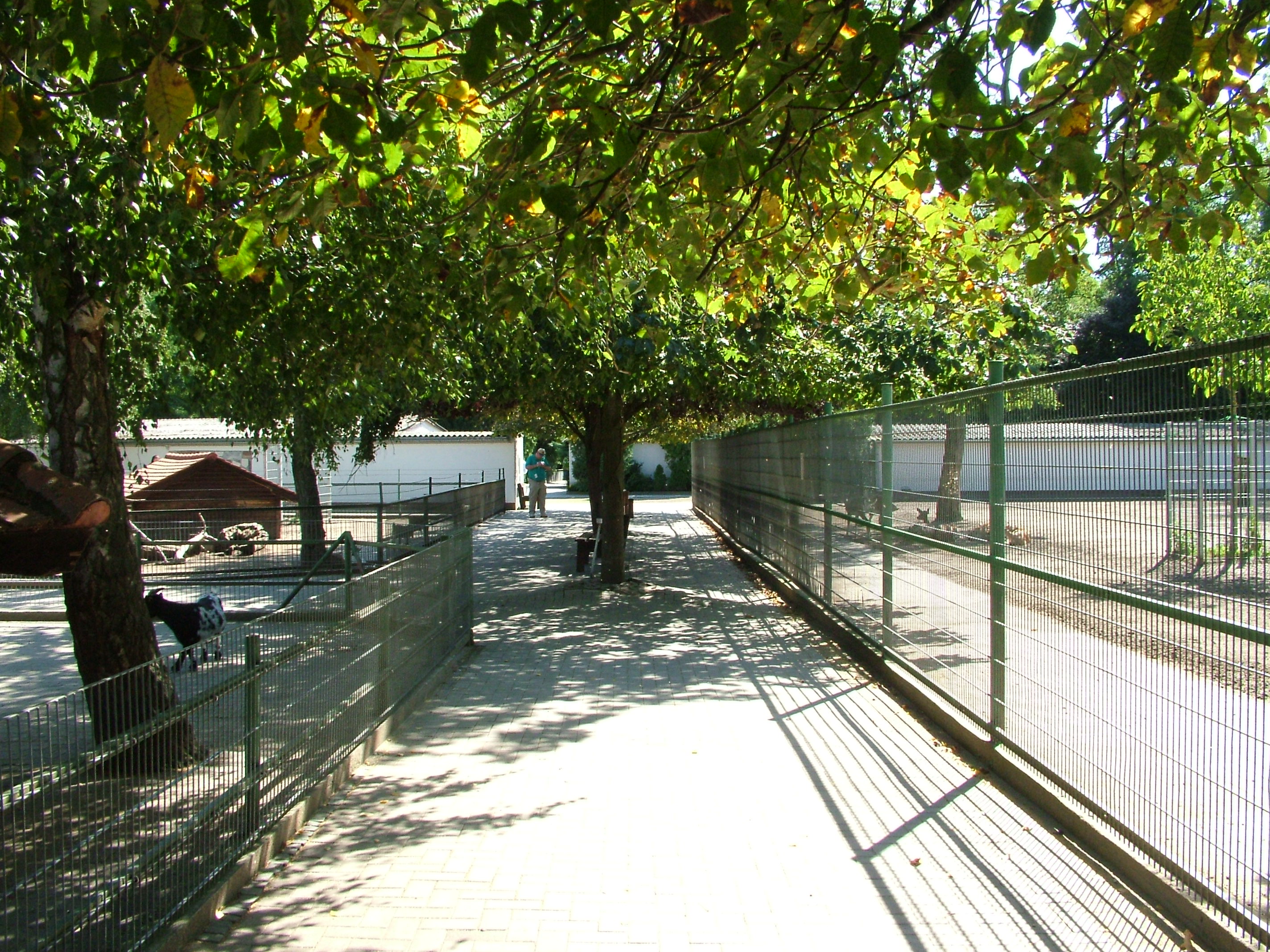 Farm Paddocks at Vogelpark Birkenheide, 6th Sept 2010
