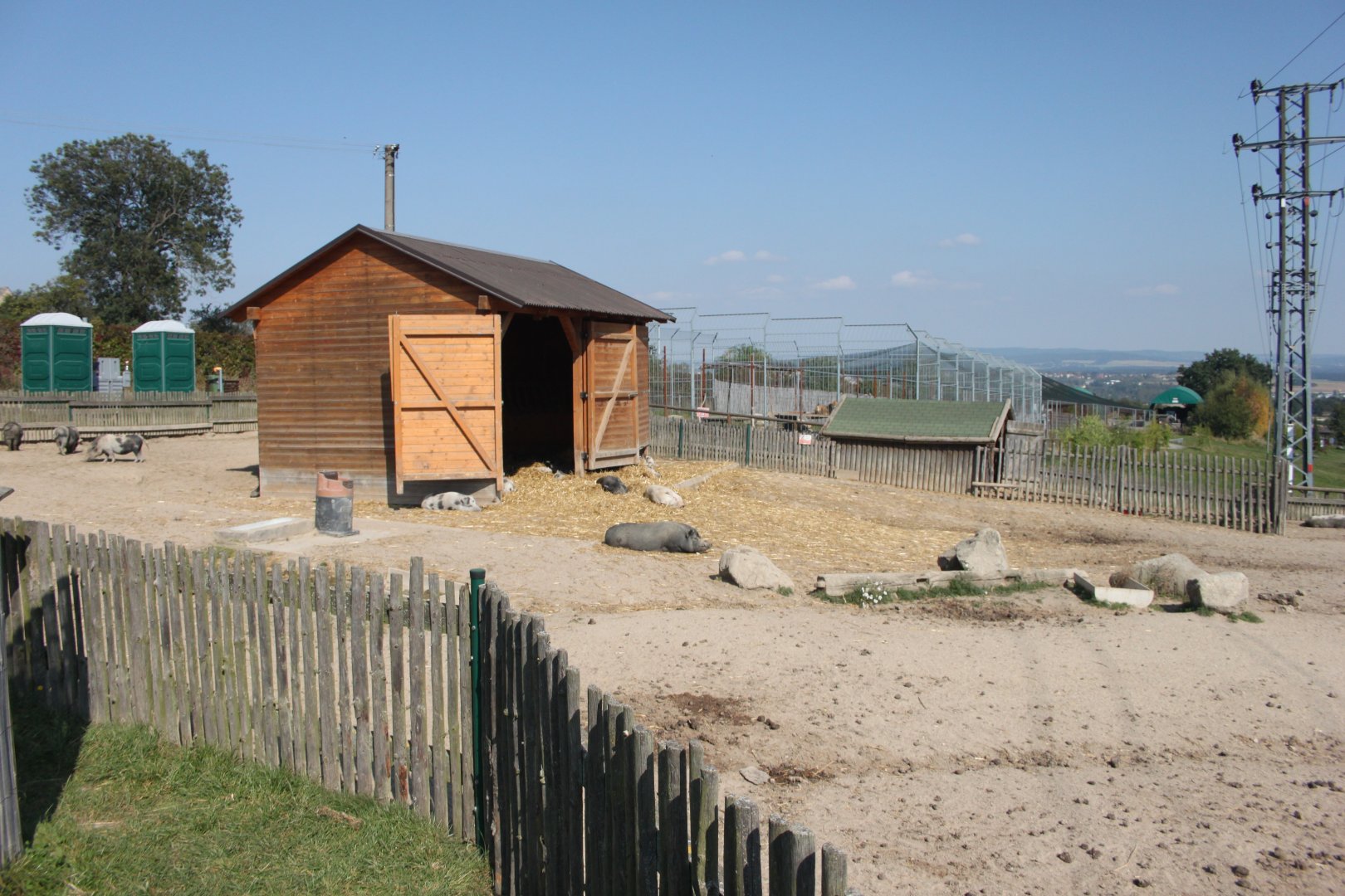Farm section - Vietnamese pig exhibit
