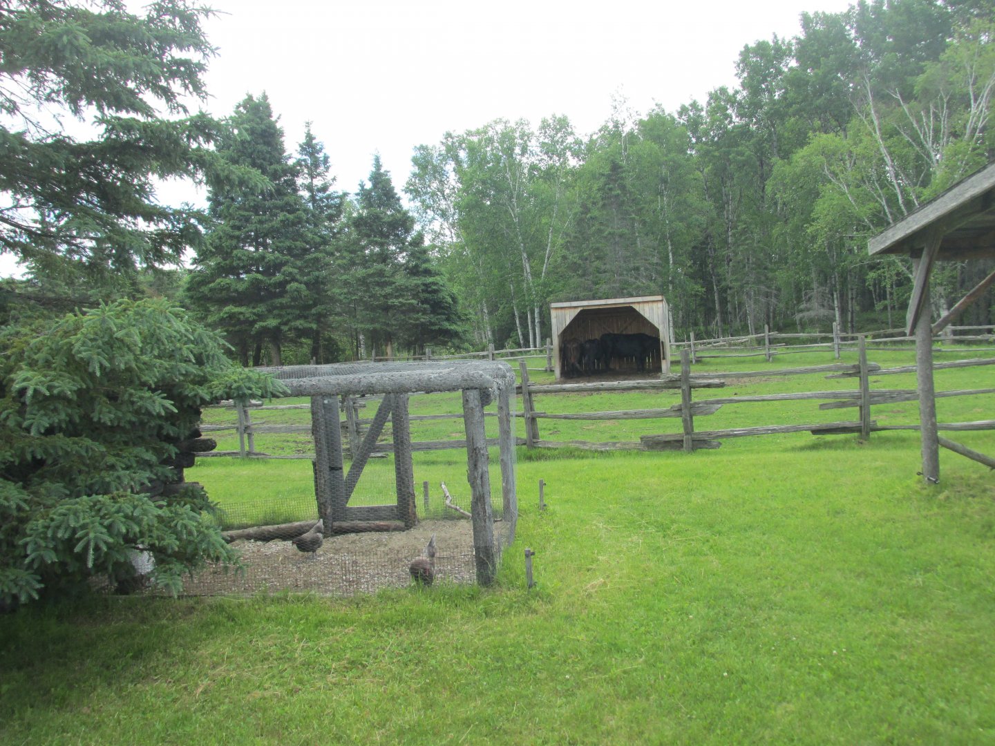 Farm seen from train