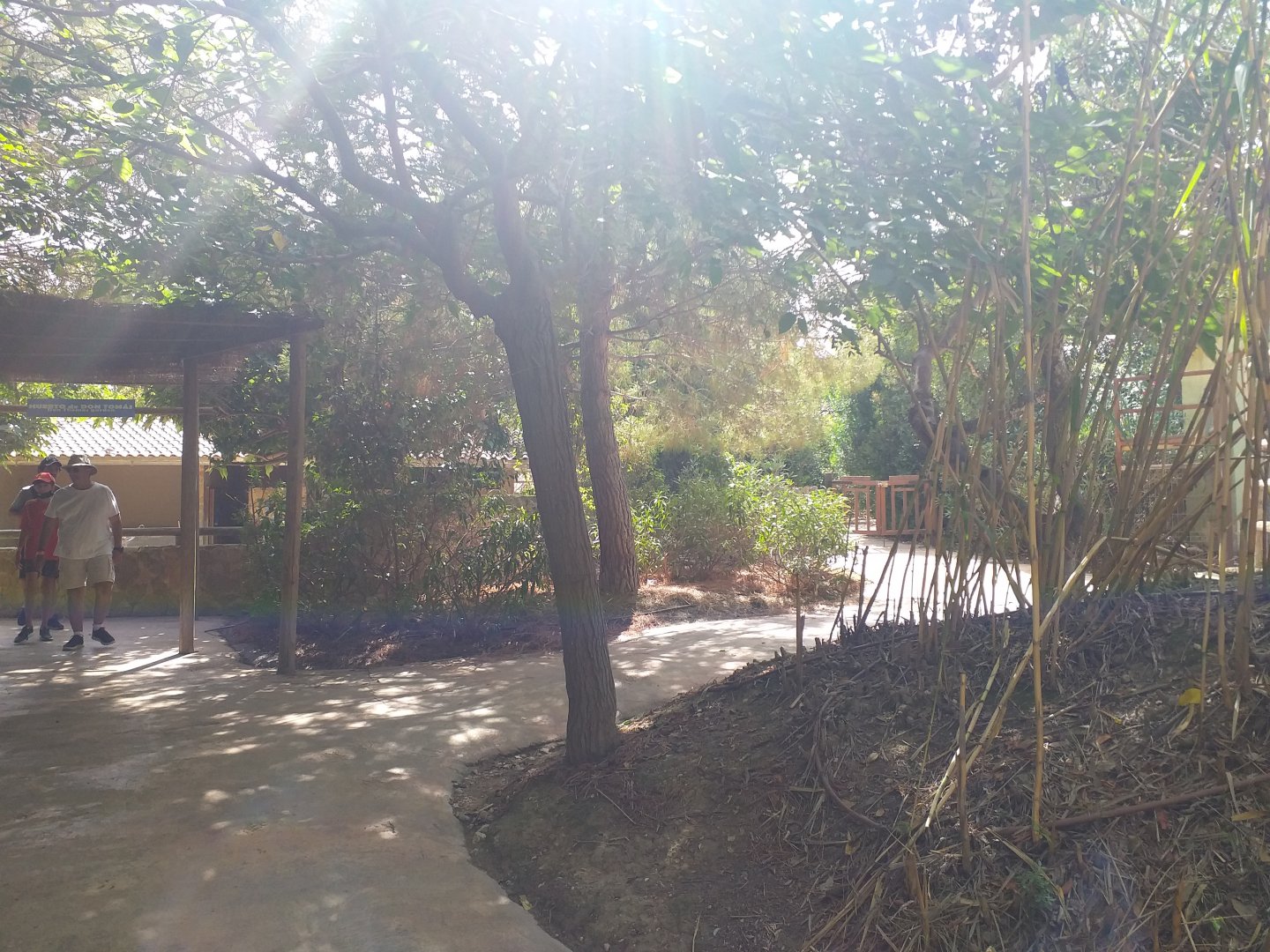 Farm view -TerraNatura Benidorm (2021)