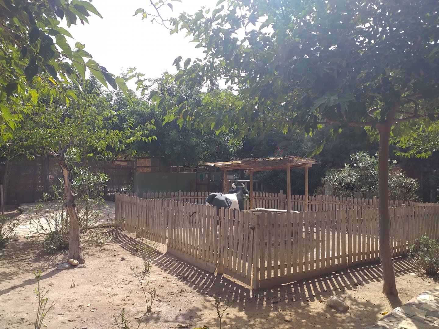 Farm view -TerraNatura Benidorm (2021)