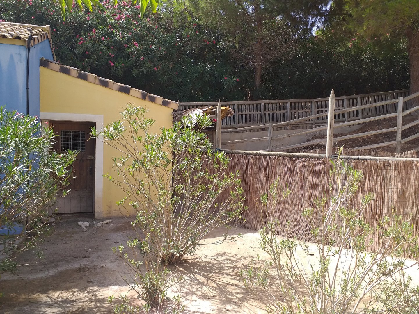 Farm view -TerraNatura Benidorm (2021)