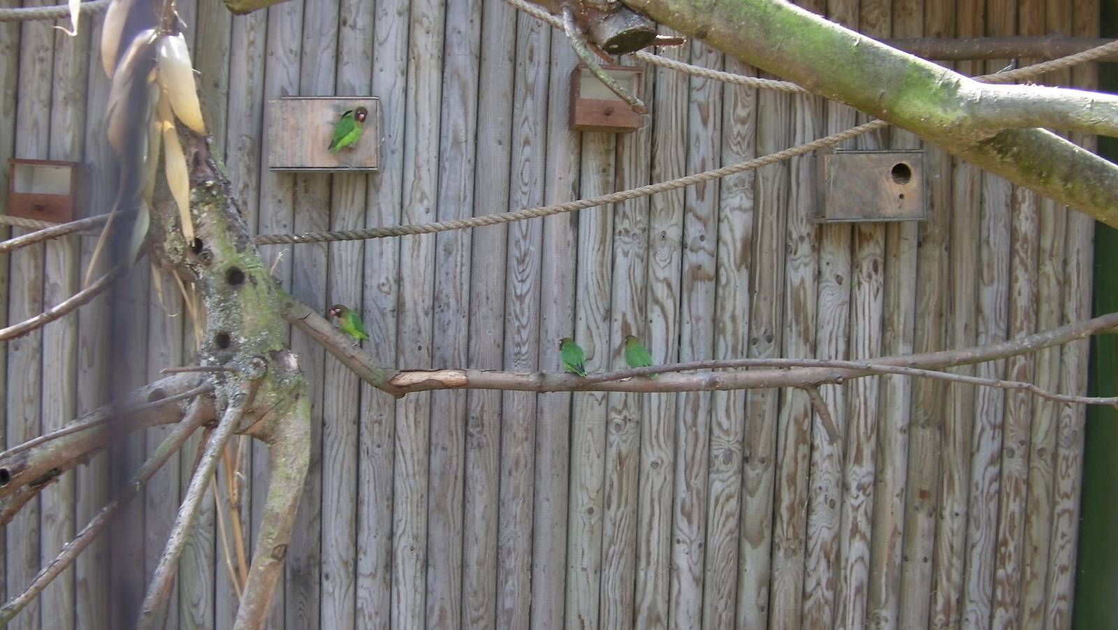 Farm Yard Corner 03.08.2011