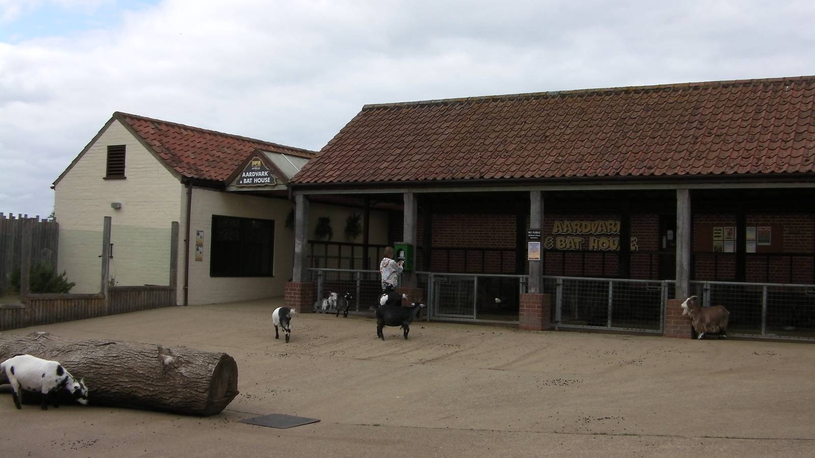 Farm Yard Corner - 29.07.2011