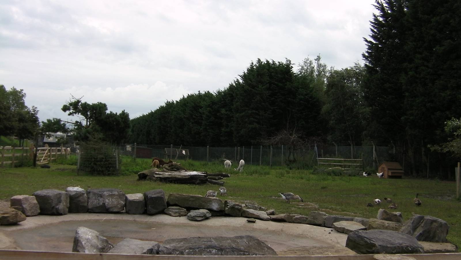 Farm Yard Exhibit - 26.08.2011