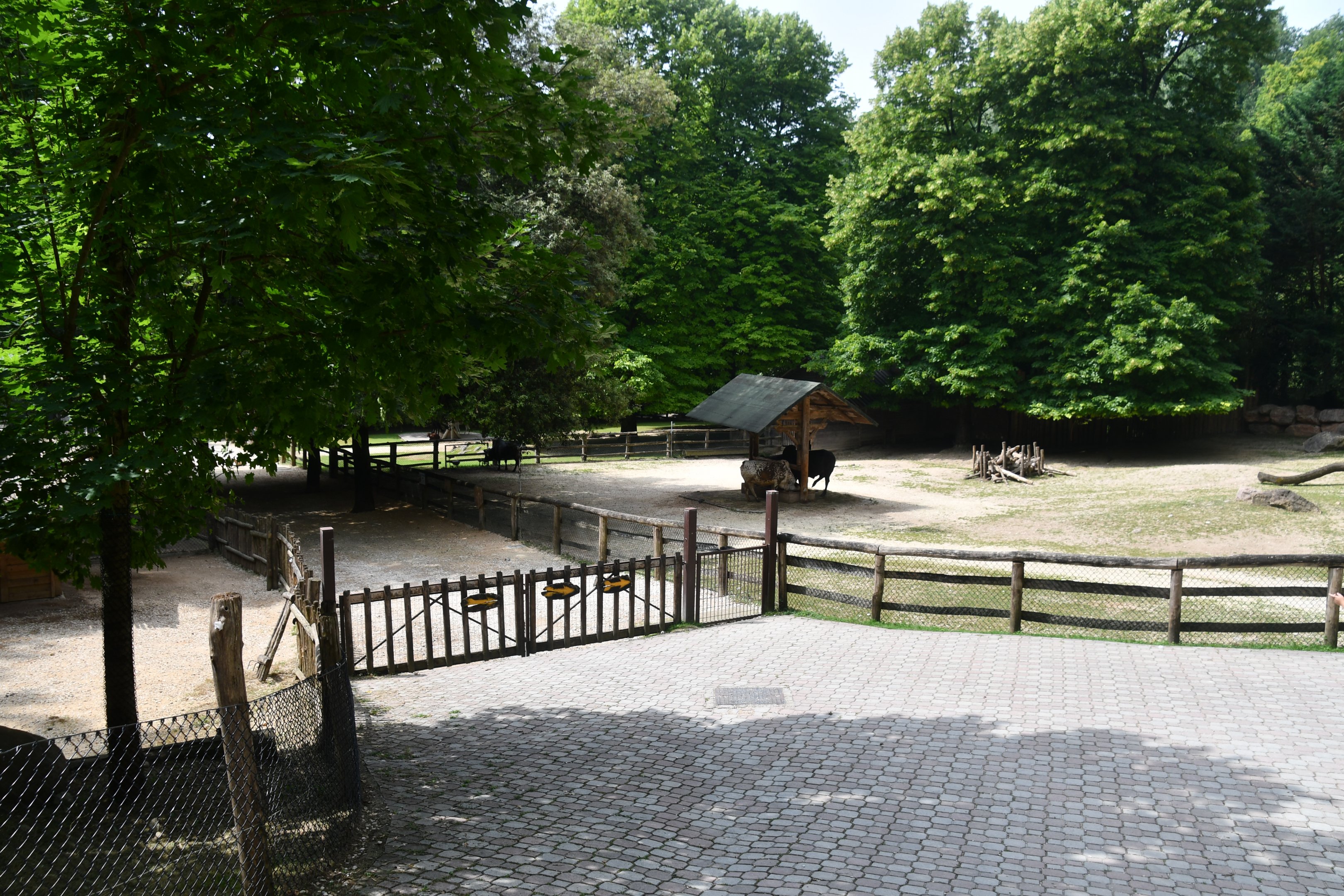 Farm (zebus, goats, alpacas,...)