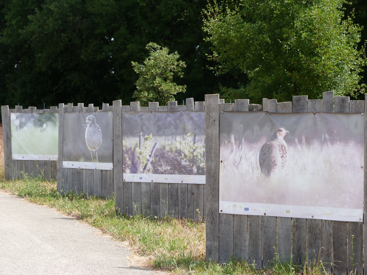 Farmland bird life photo display -Zoodyssée (2025)