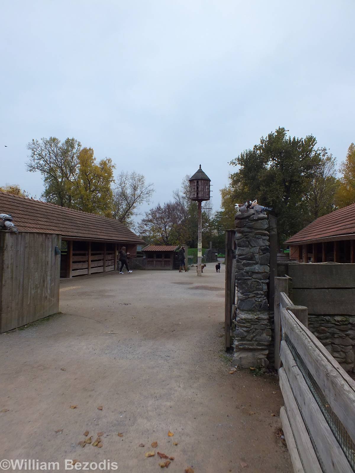 Farmyard Area in Childrens' Zoo