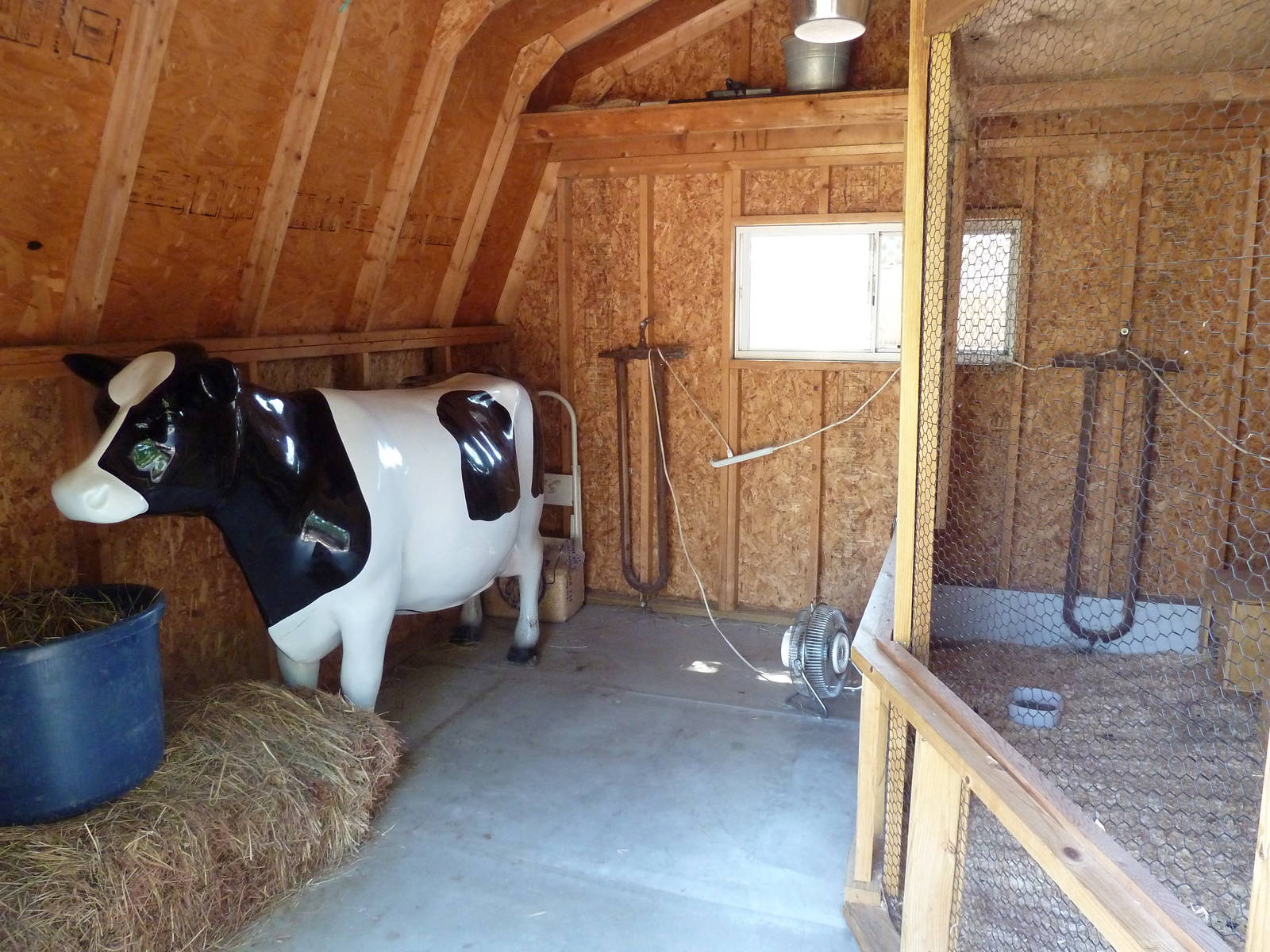 Farmyard - Cow Milking Demonstration Area