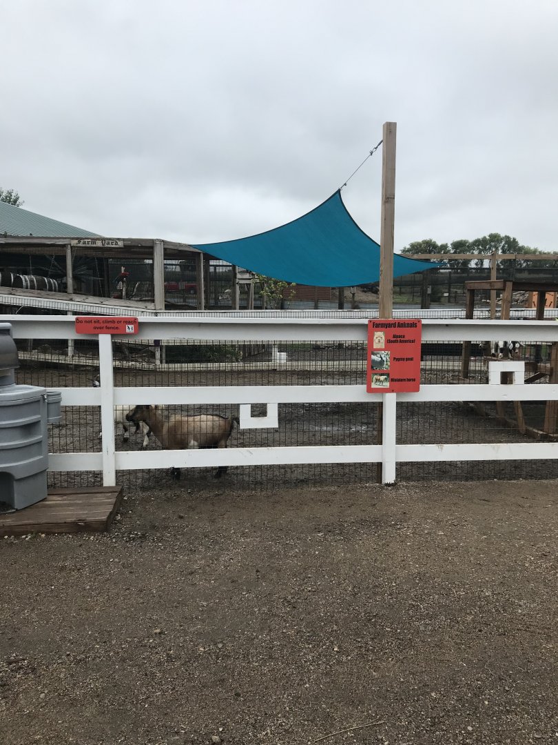 Farmyard Exhibit