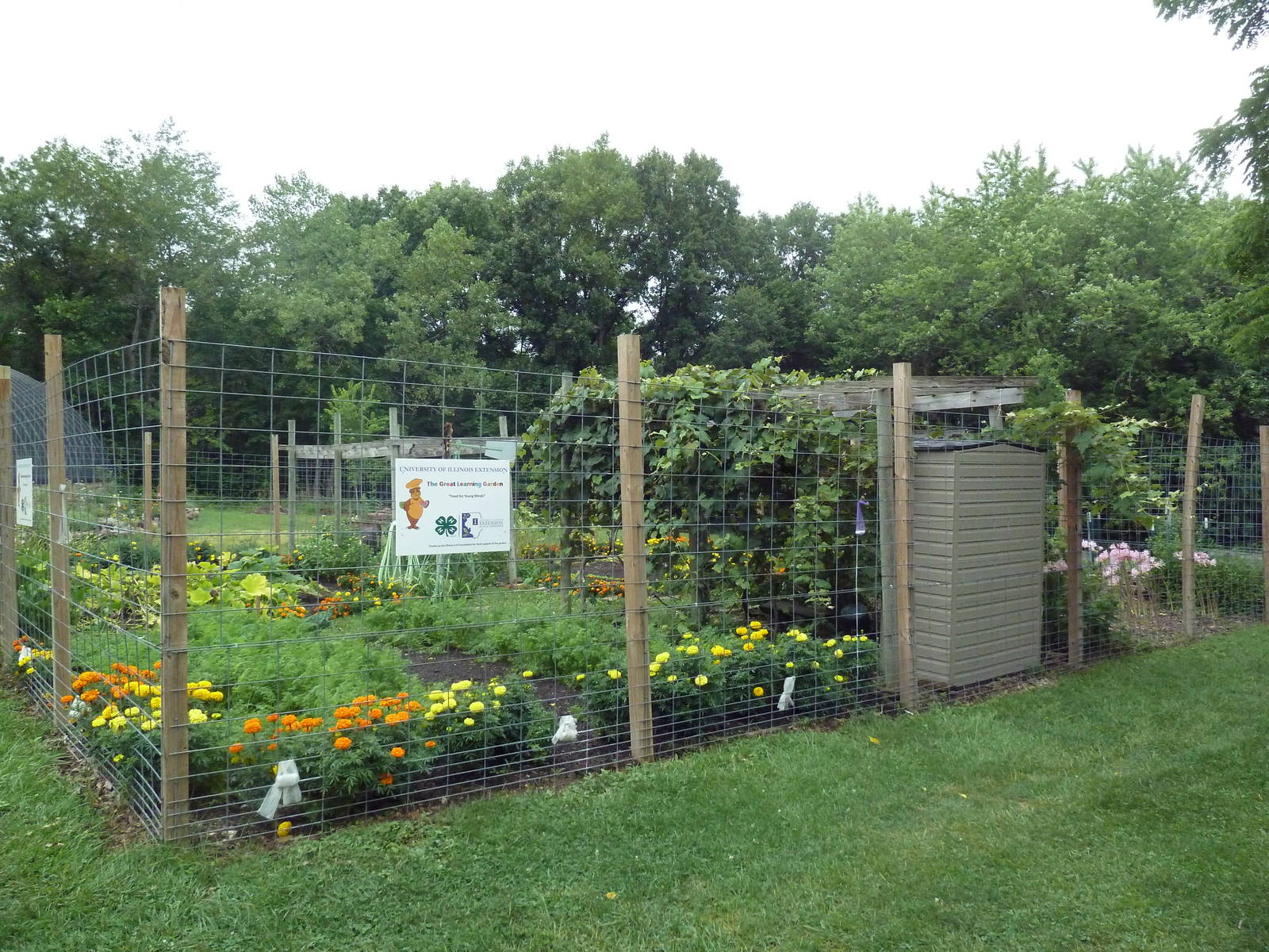 Farmyard - Flower Garden