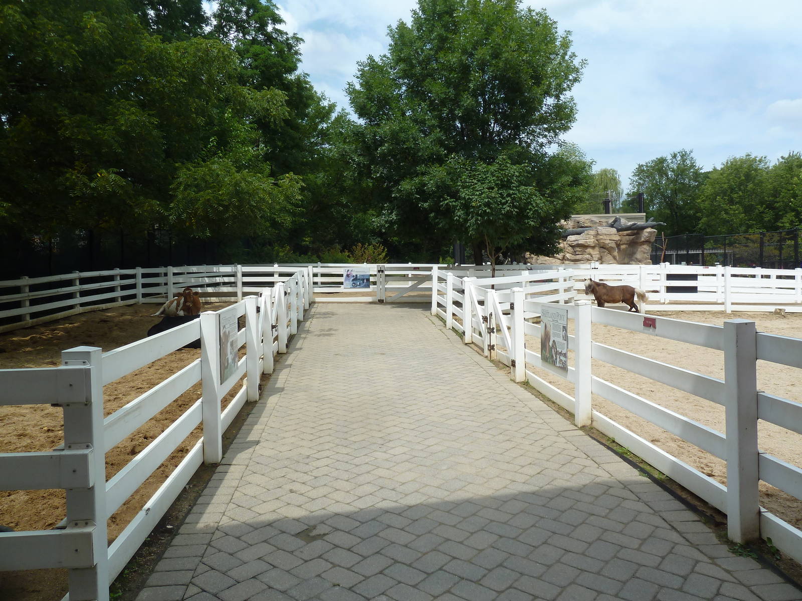 Farmyard - Outdoor Stalls