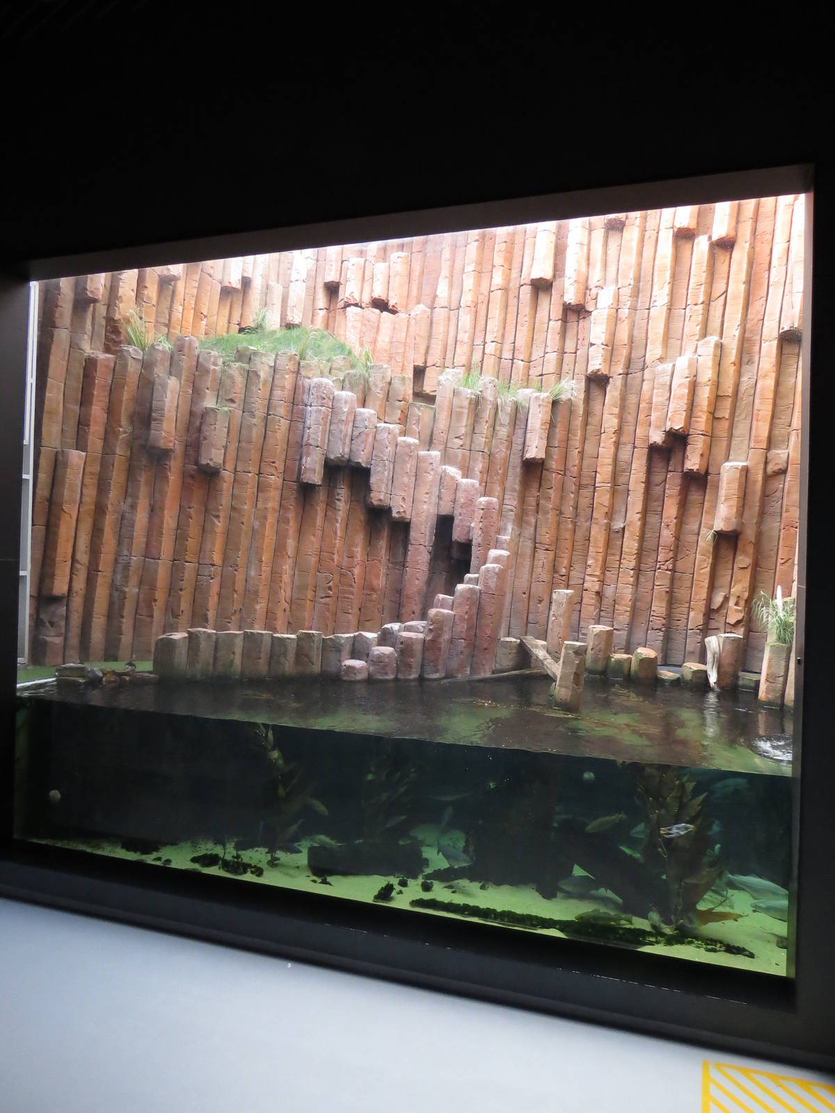 Faroe islands exhibit, June 2015.