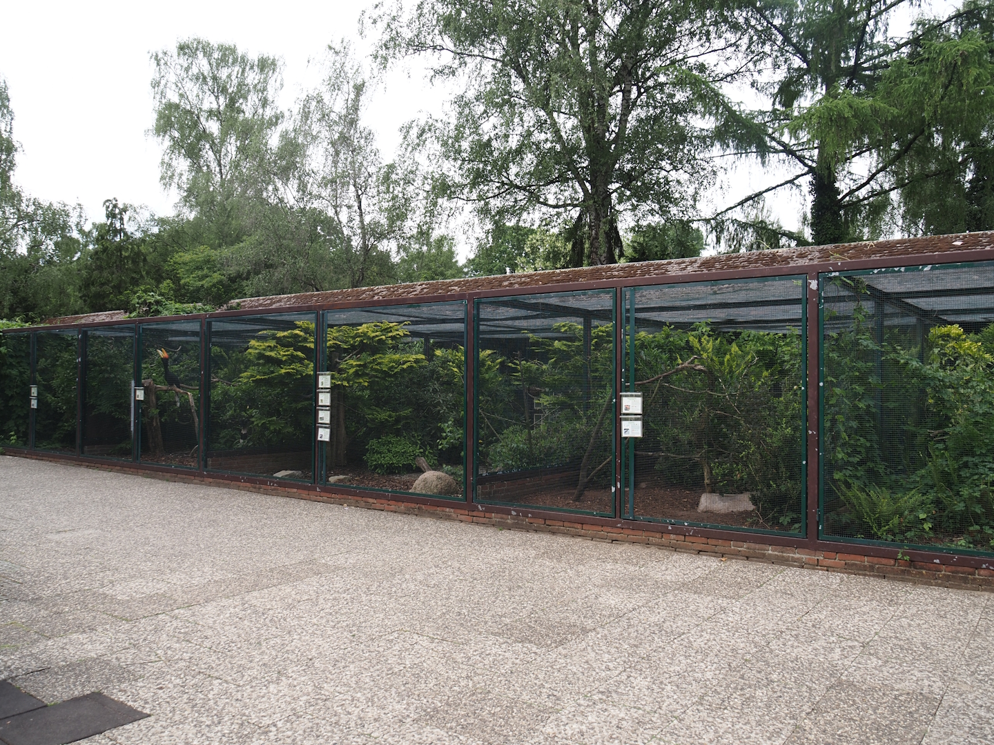 Fasanerie/Pheasantry - General view of aviaries and viewing area, 2024-05-21