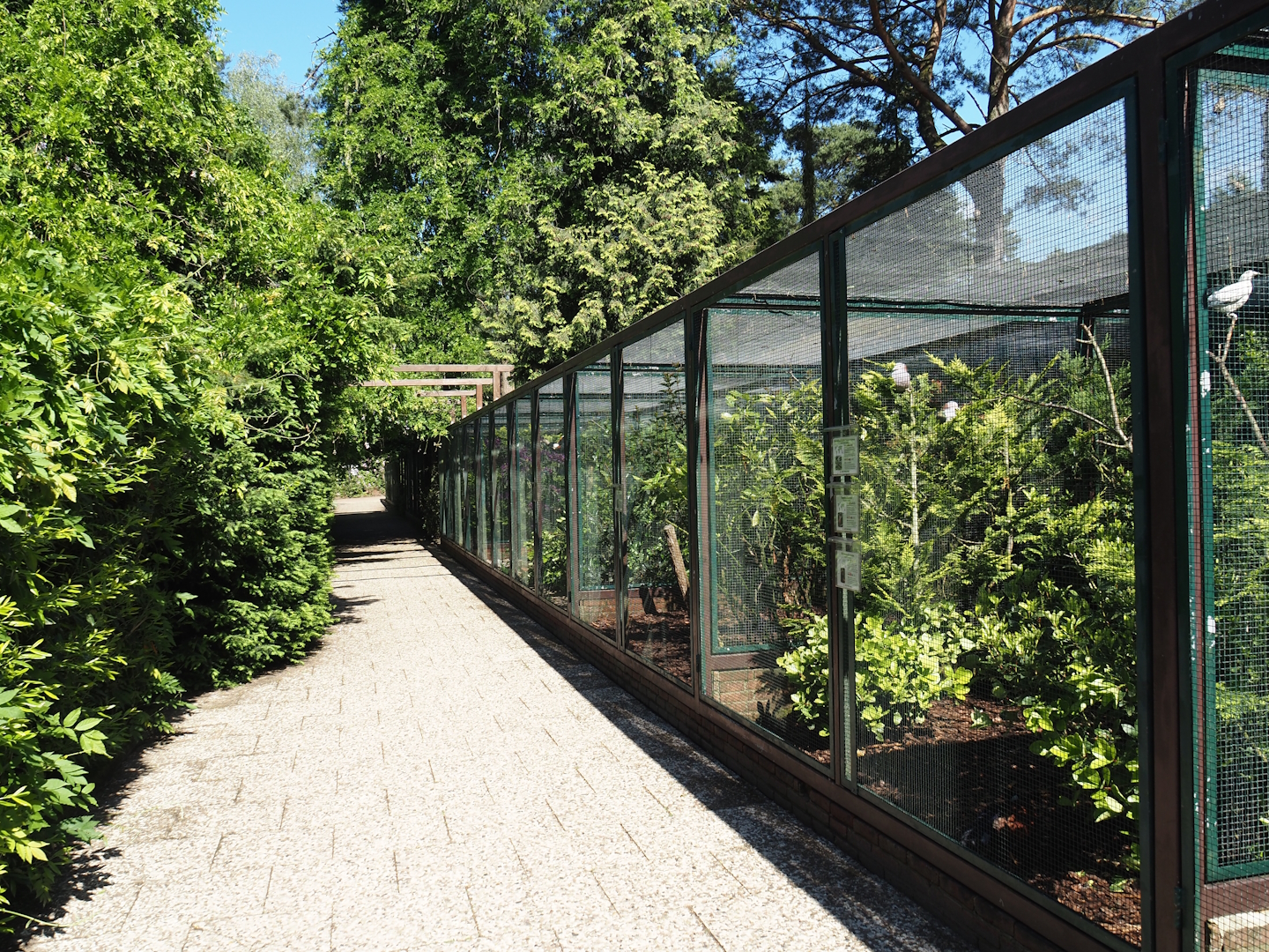 Fasanerie/Pheasantry - General view of aviaries and viewing area, 2024-05-23