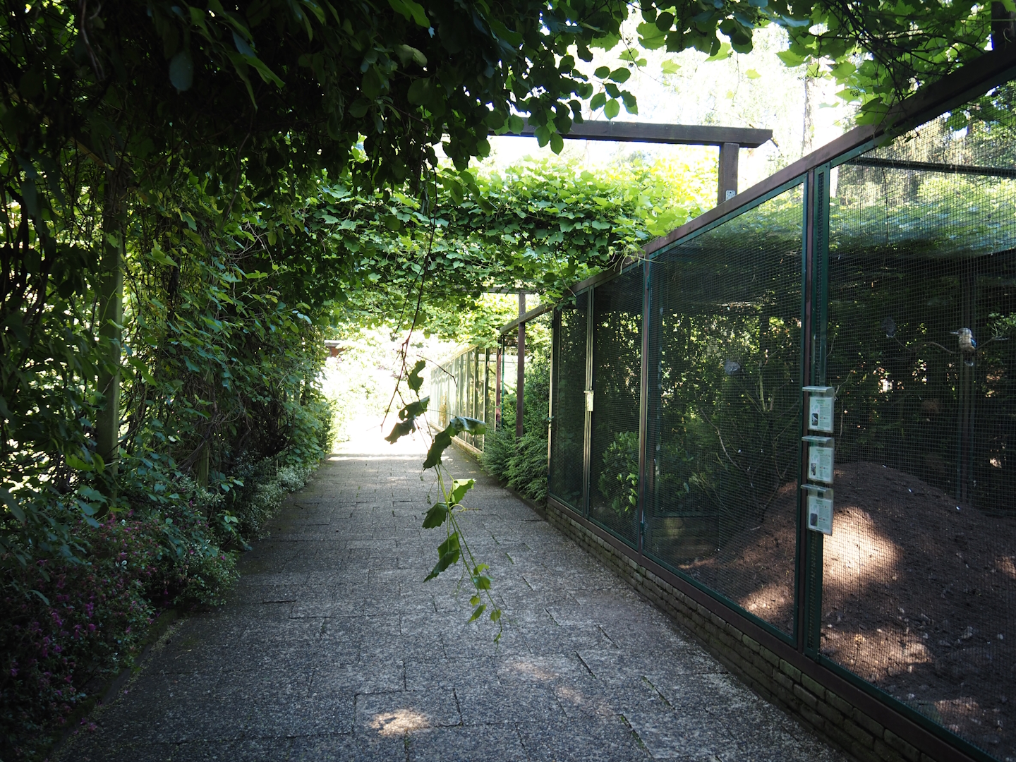 Fasanerie/Pheasantry - General view of aviaries and viewing area, 2024-05-23