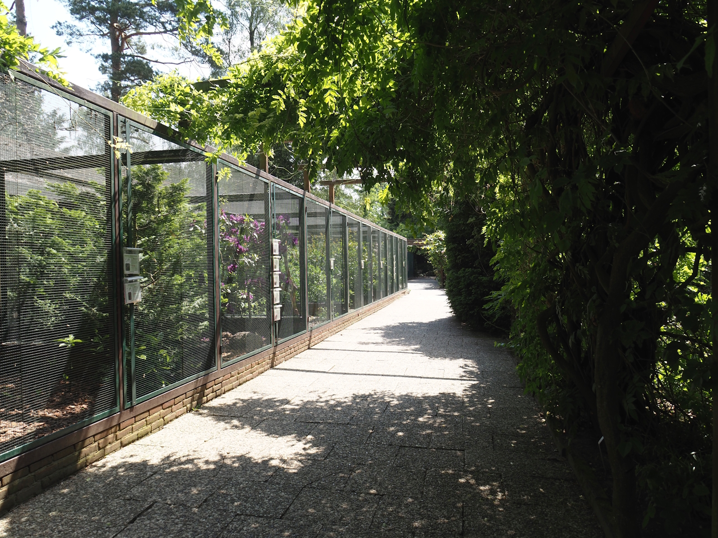 Fasanerie/Pheasantry - General view of aviaries and viewing area, 2024-05-24