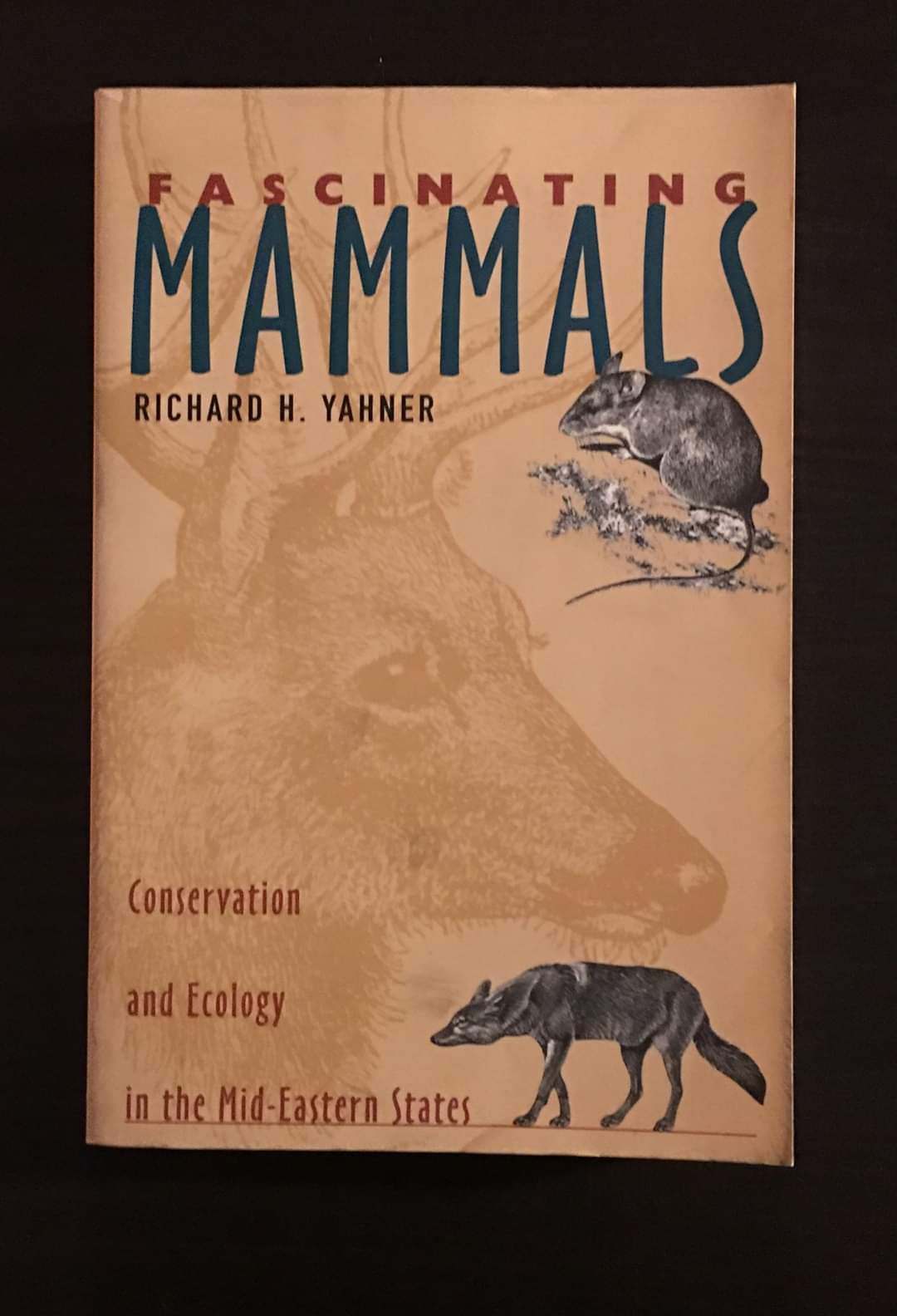 Fascinating Mammals  Conservation and Ecology in the Mid-Eastern States
