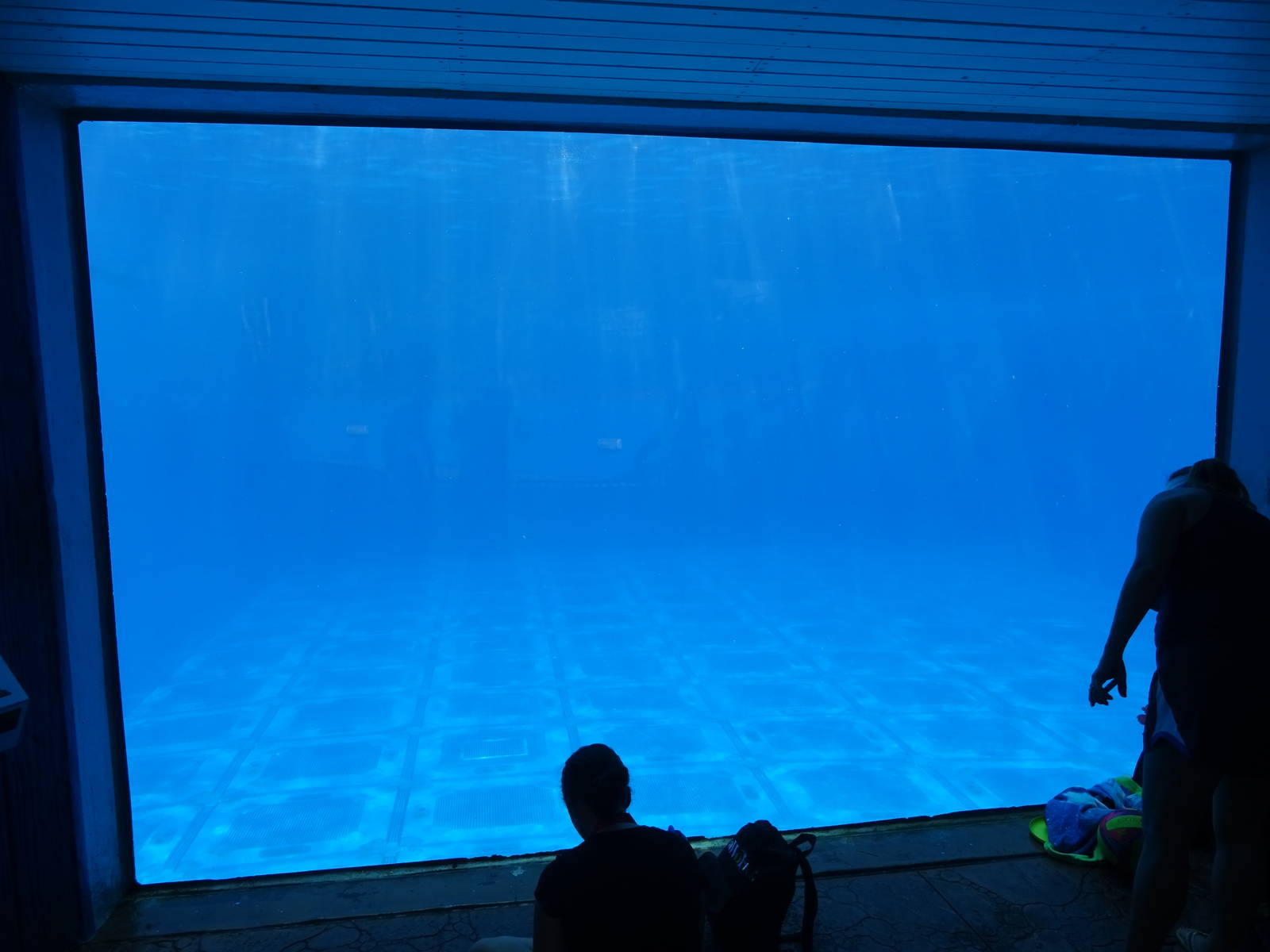 Fast-Rising False Bottom Floor at SeaWorld Orlando