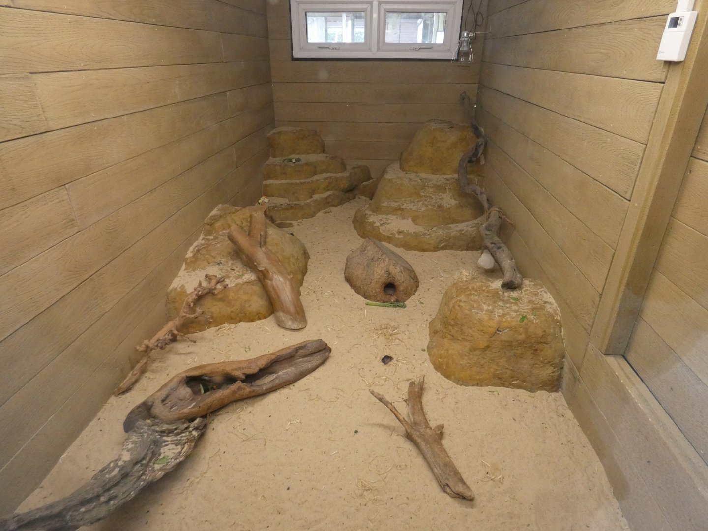 Fat sand rat enclosure