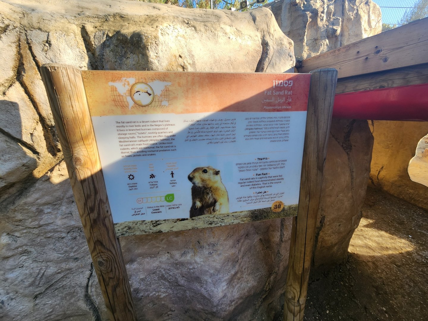 Fat Sand Rat Signage