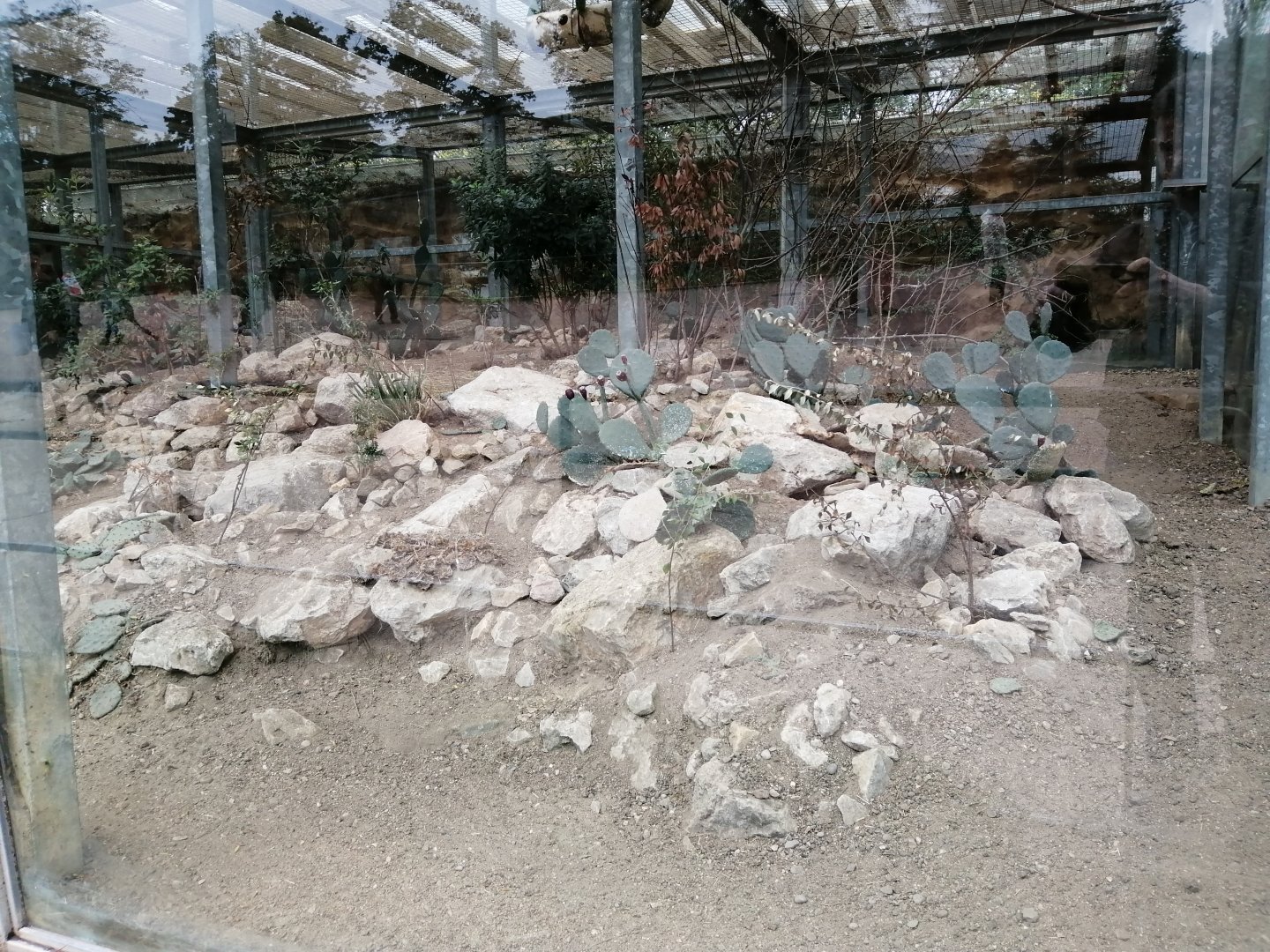 Fat Sand Rats and Lovebirds Exhibit arround the African Savana