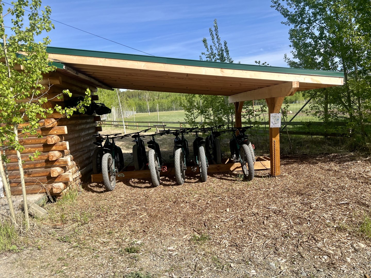 Fat tire bikes for rent