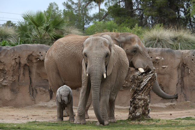 father, mother, daughter