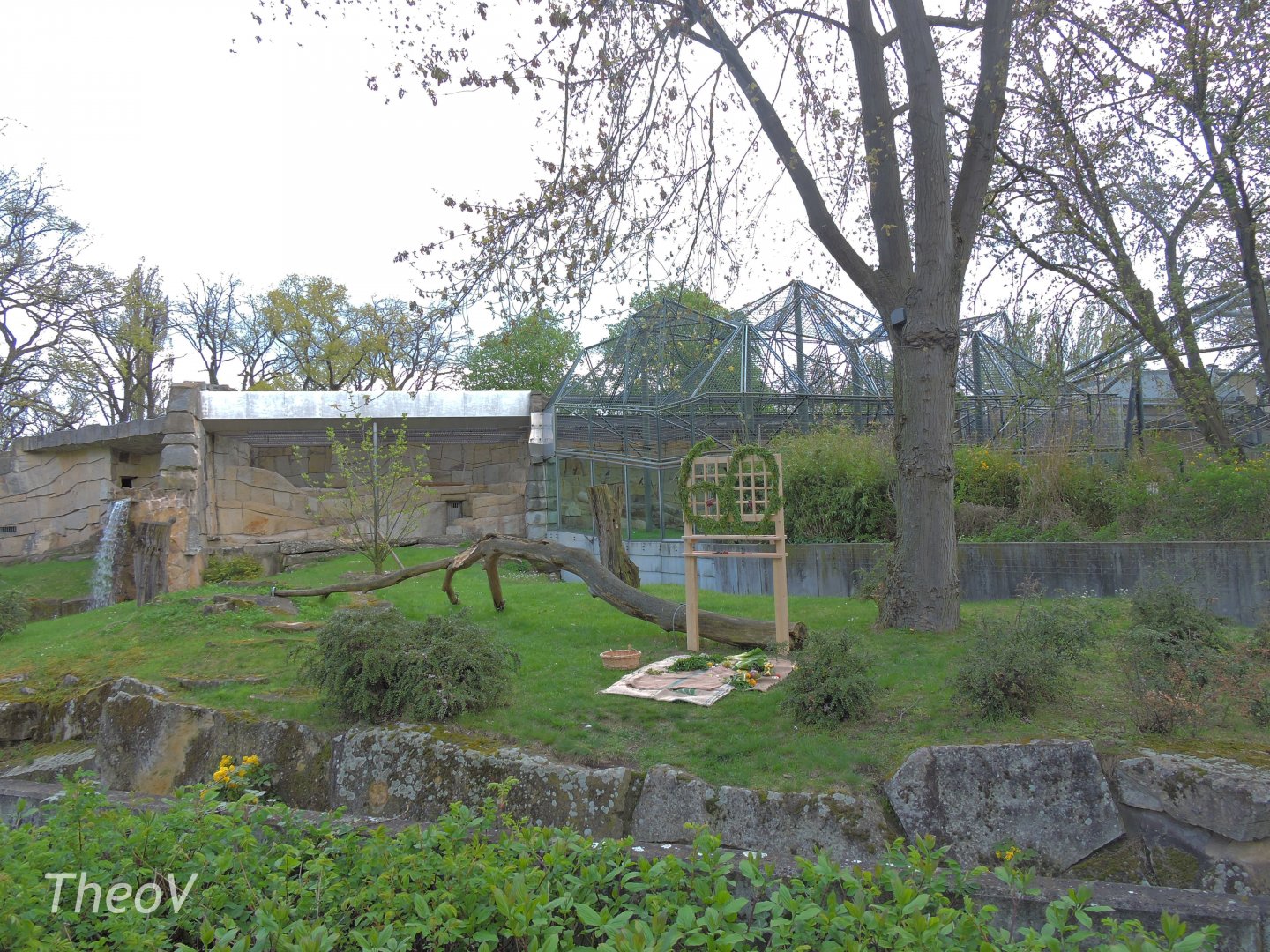 Fatou the gorilla's exhibit [2017]