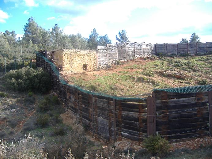 Fauna Ibirica Bear enclosure