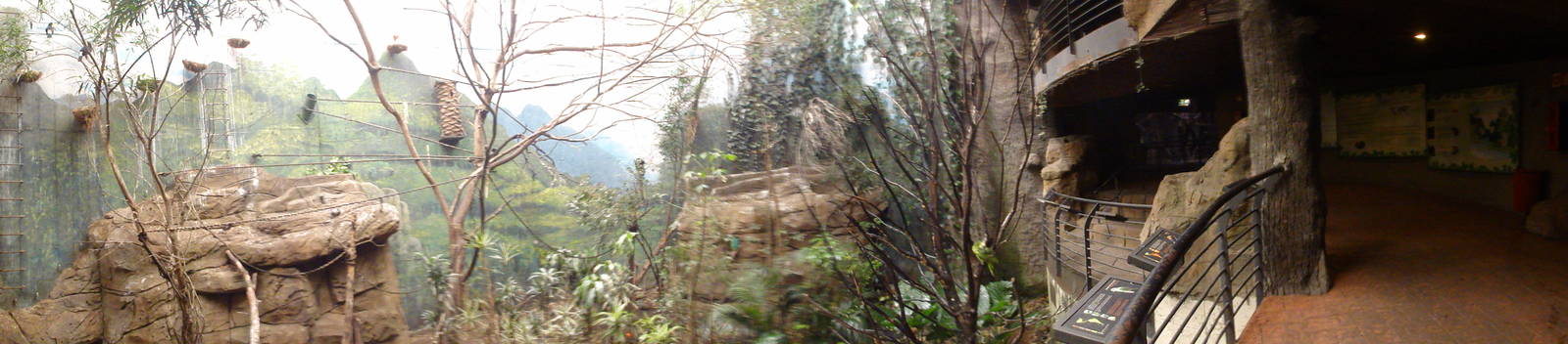 Faunia Christmas 2016: Amazon rainforest