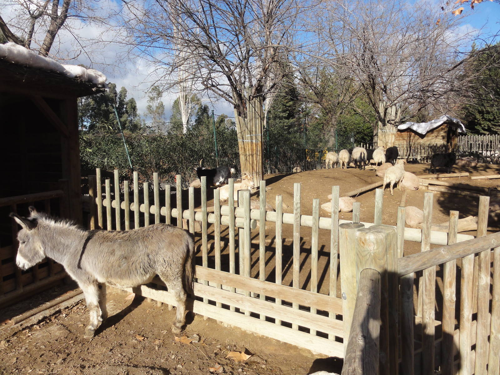 Faunia Christmas 2016