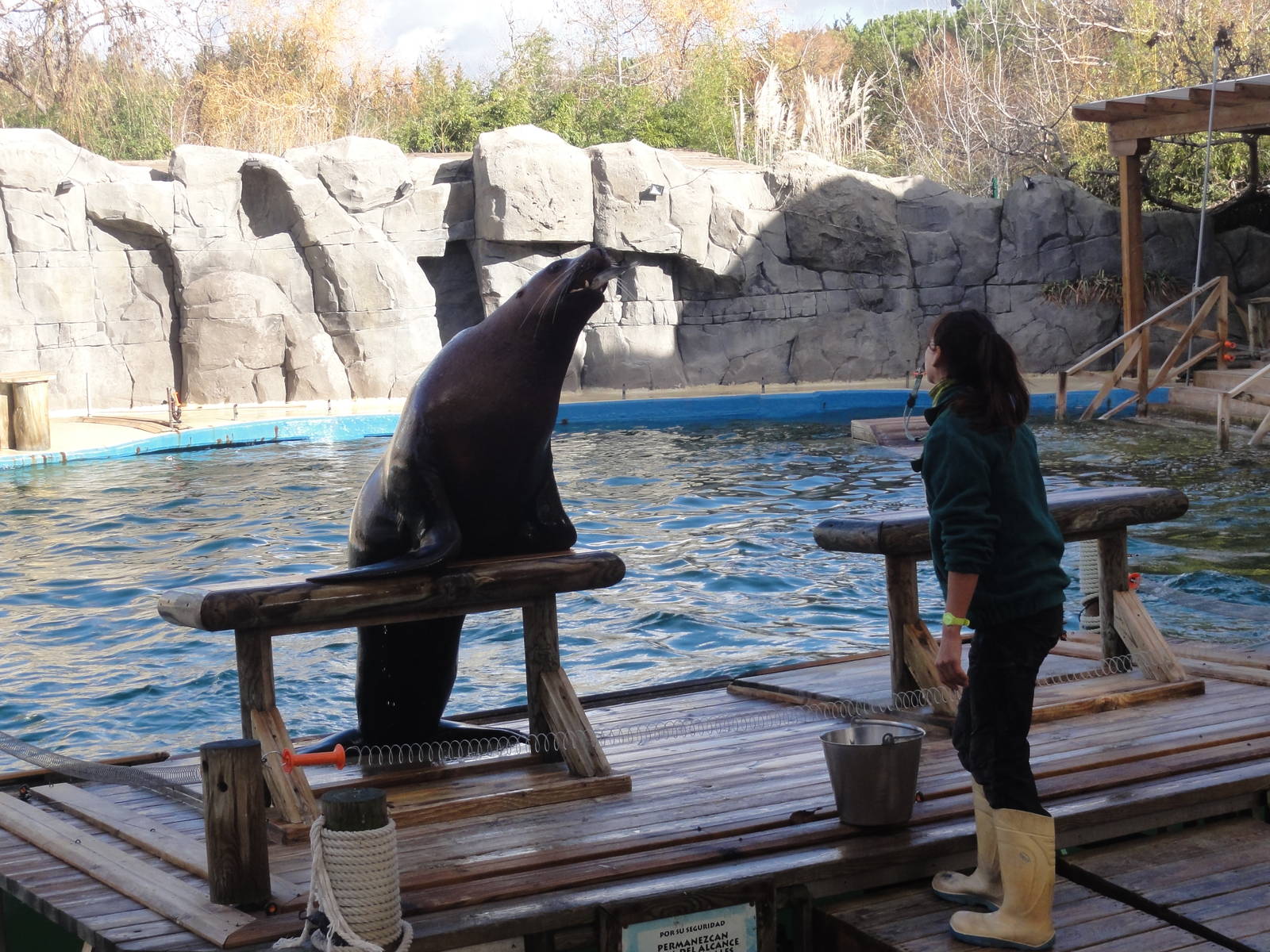 Faunia Christmas 2016