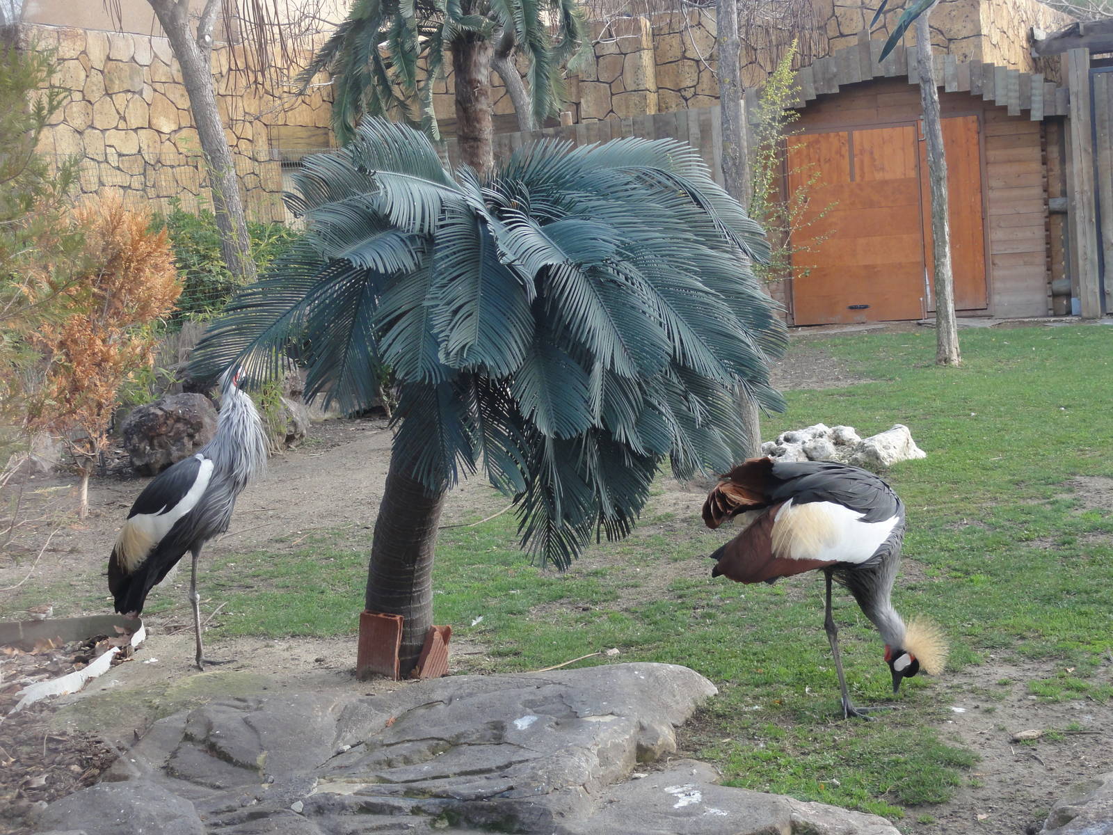 Faunia Christmas 2016