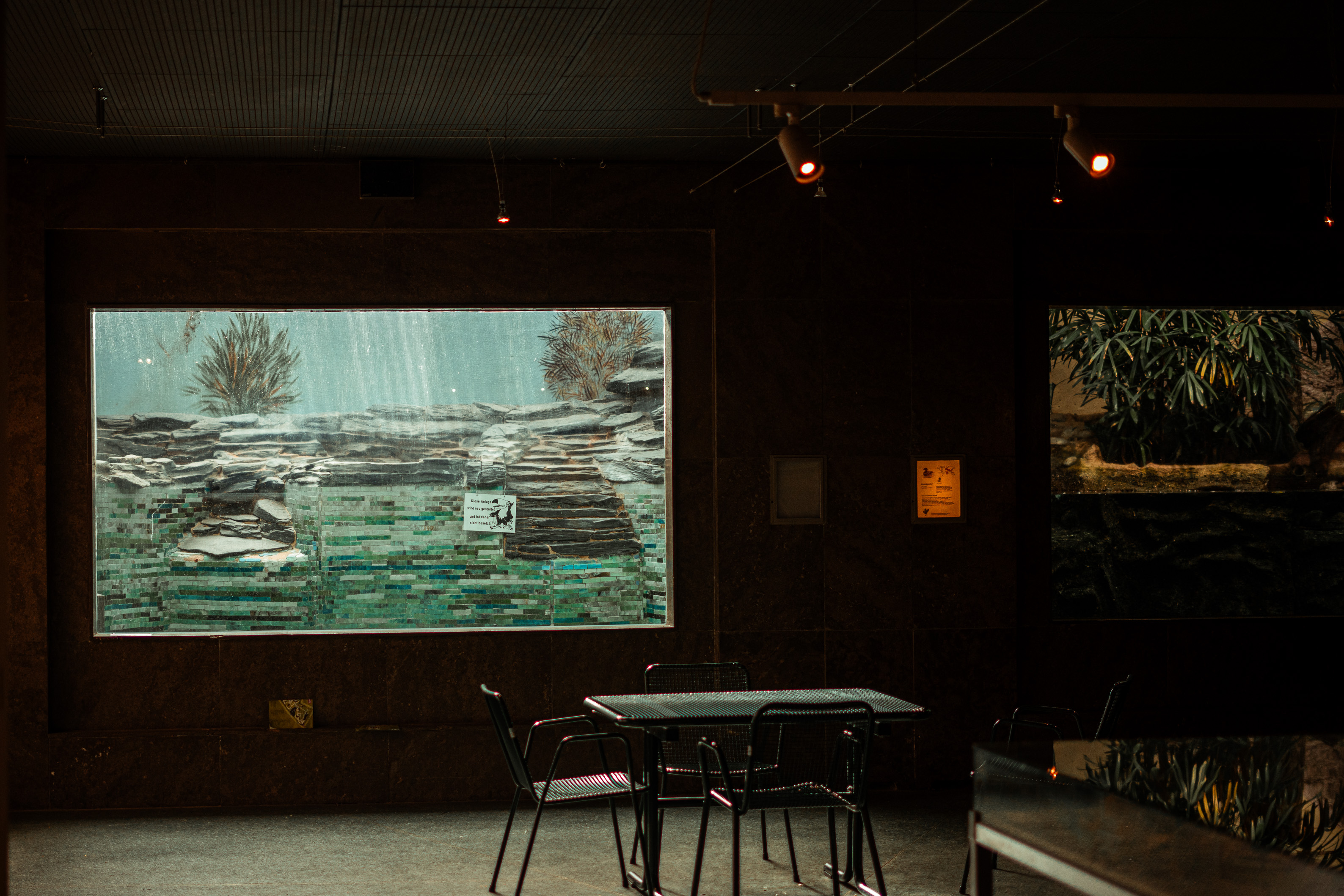 Faust-Vogelhallen empty enclosre