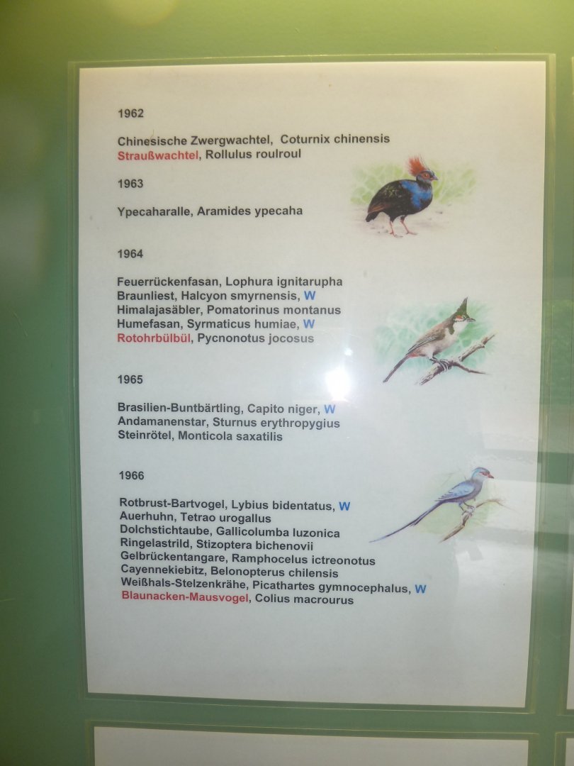 Faust Vogelhallen - Entrance - First (European/world) hatches