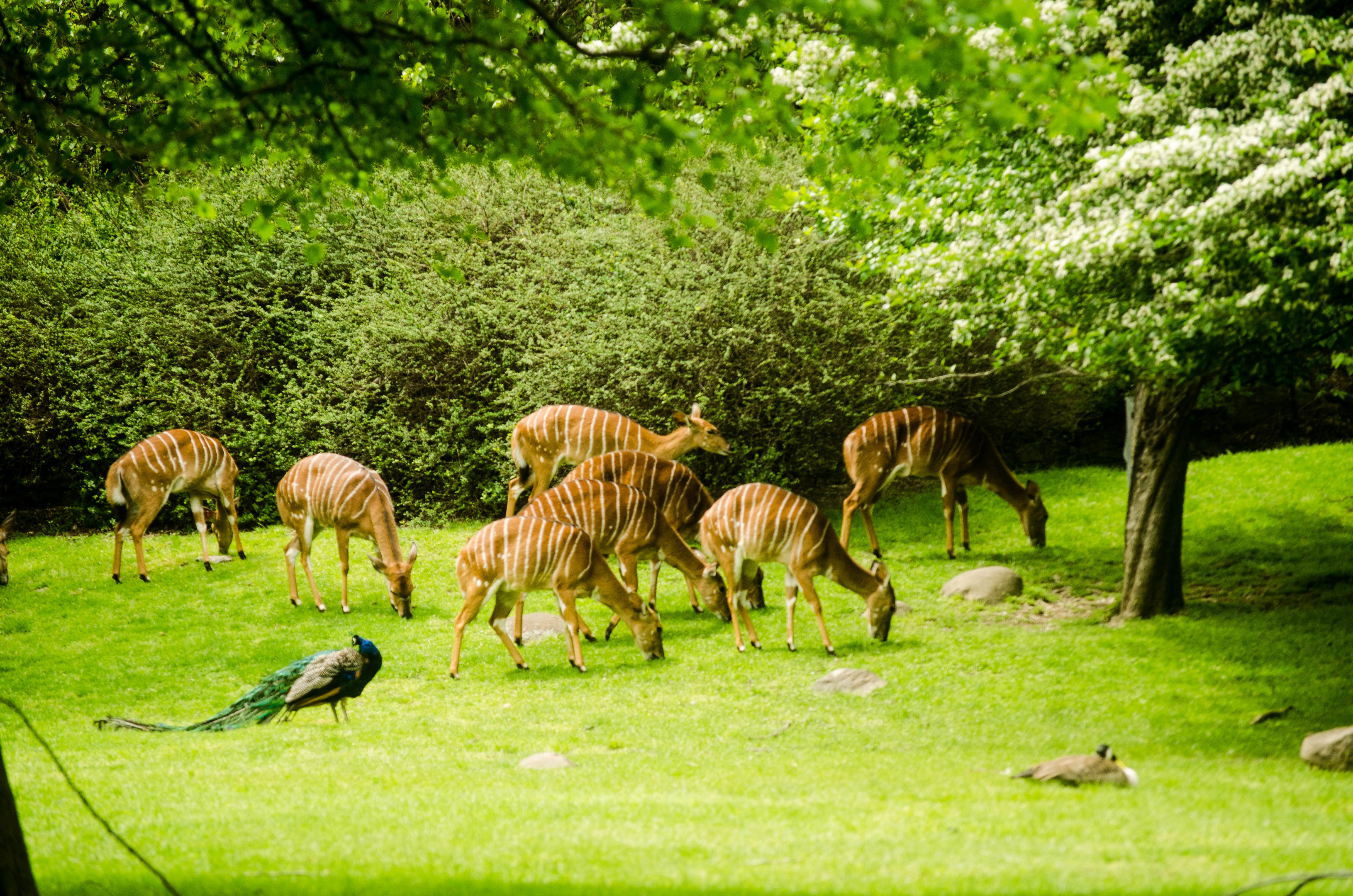 Favorite exhibit at the zoo