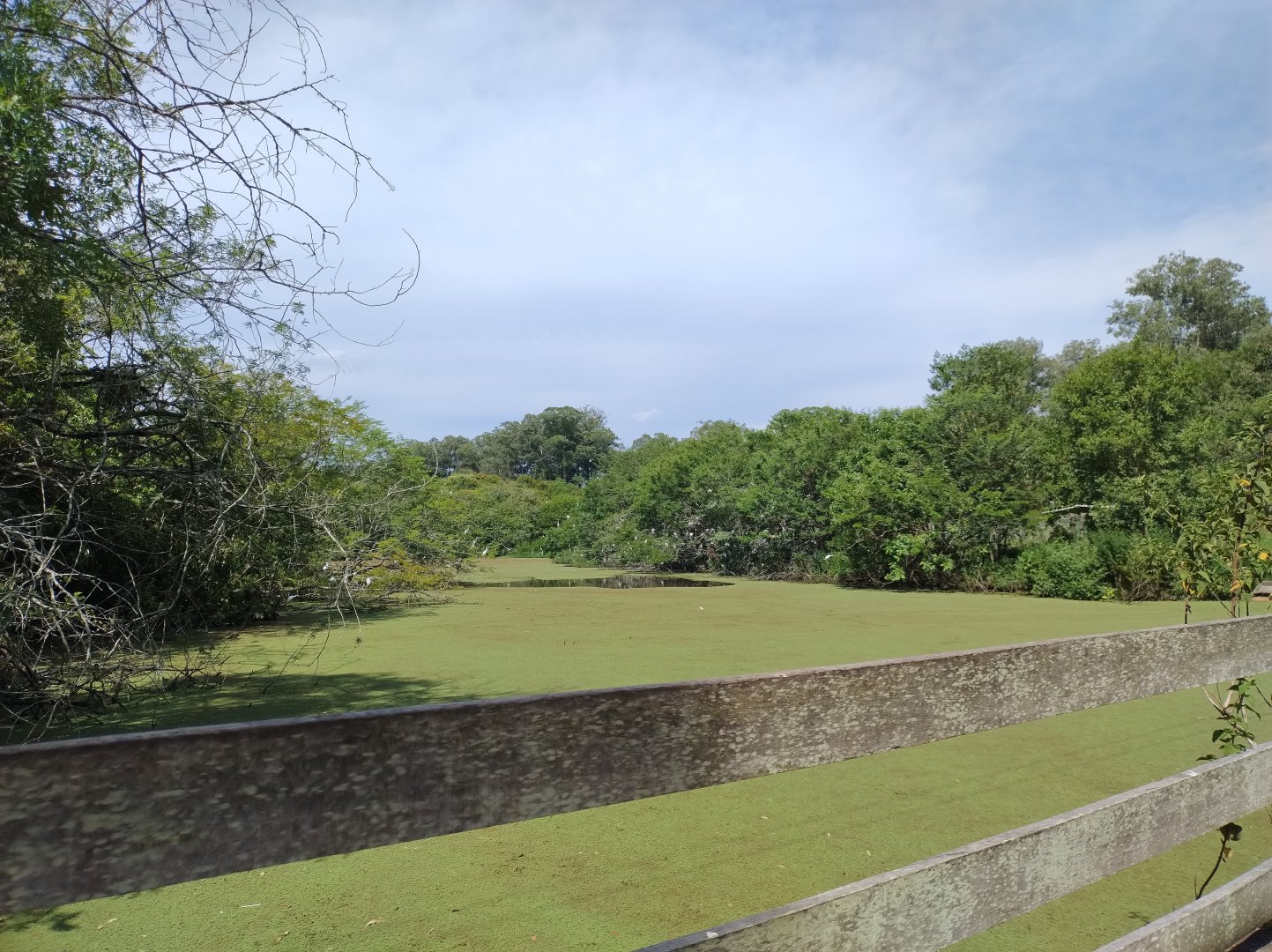 Fazenda mirim - Zoo Sapucaia