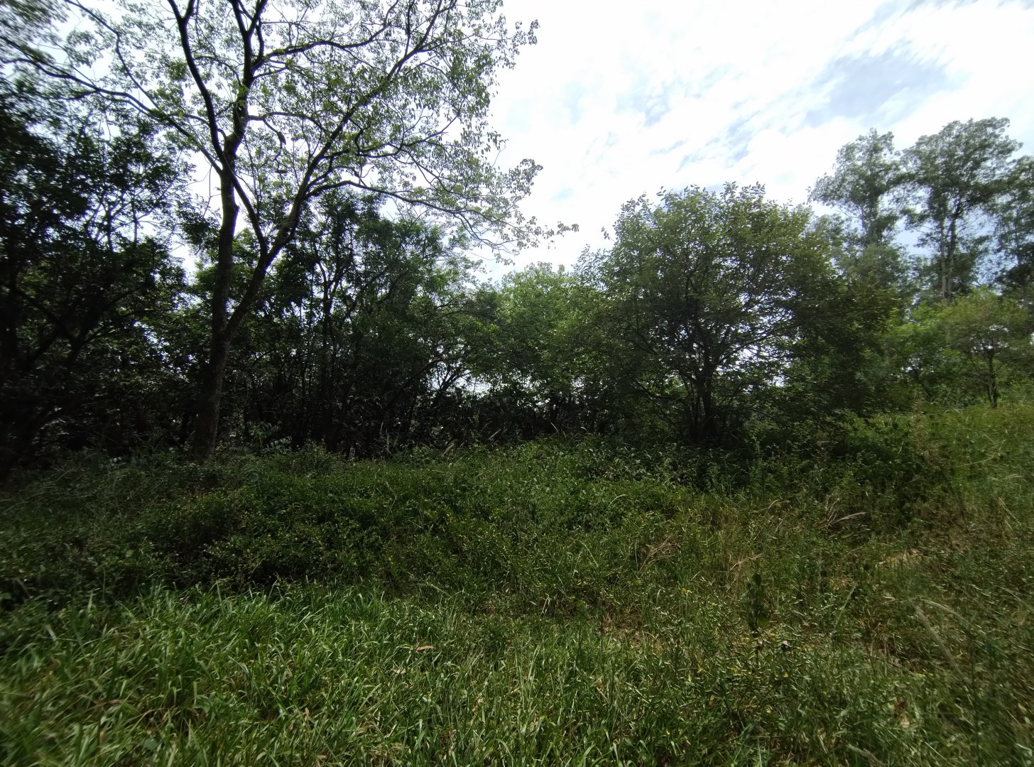 Fazenda mirim - Zoo Sapucaia