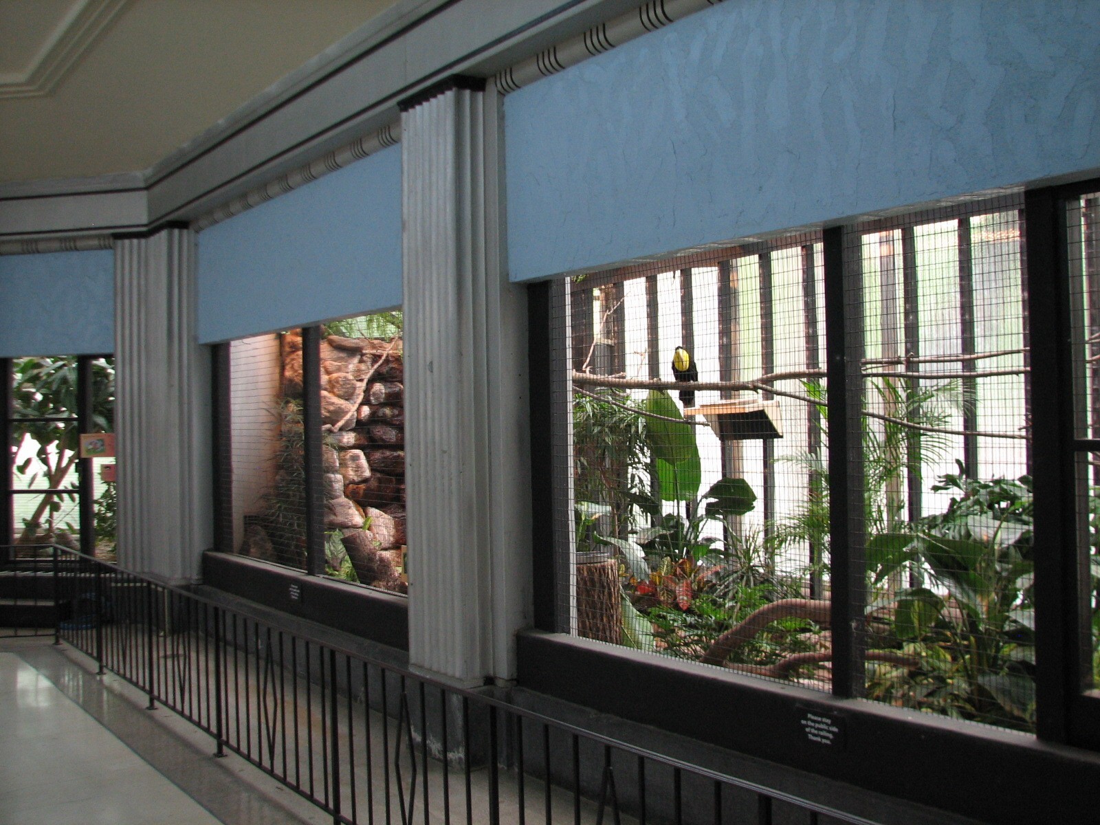 Feathers and Scales - Bird Exhibits