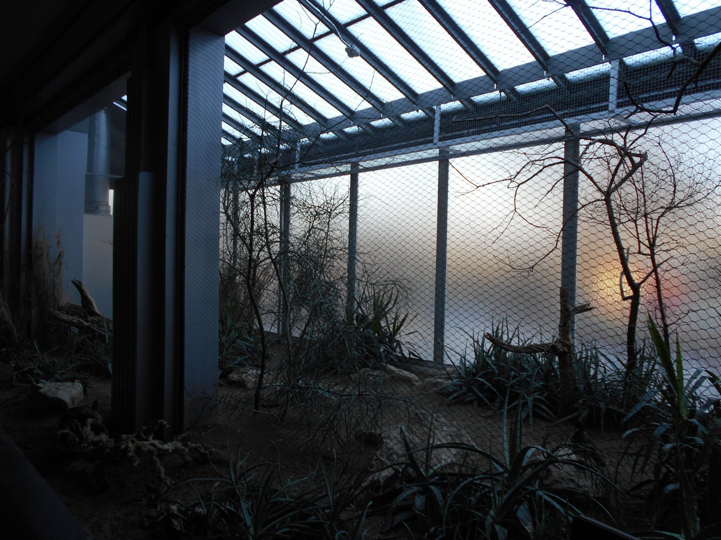 Feathers and Scales Desert Aviary