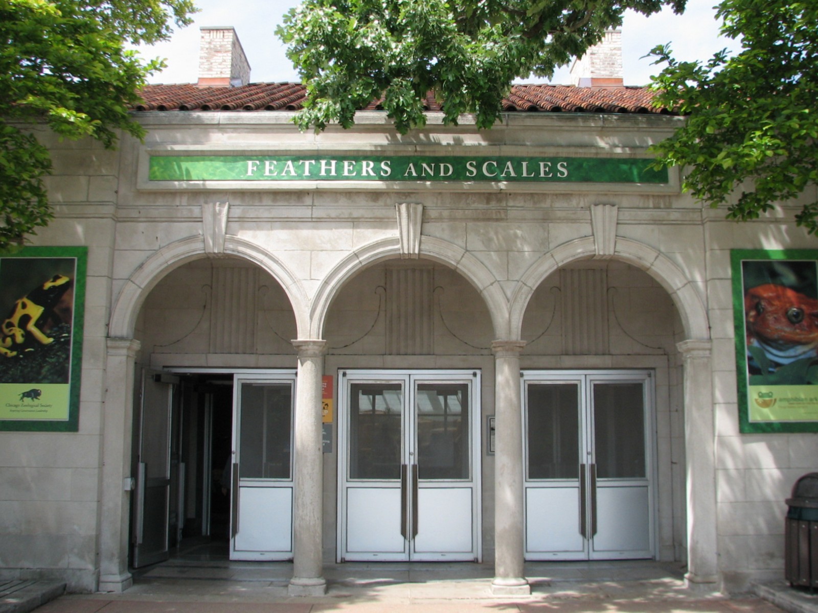 Feathers and Scales - Exterior