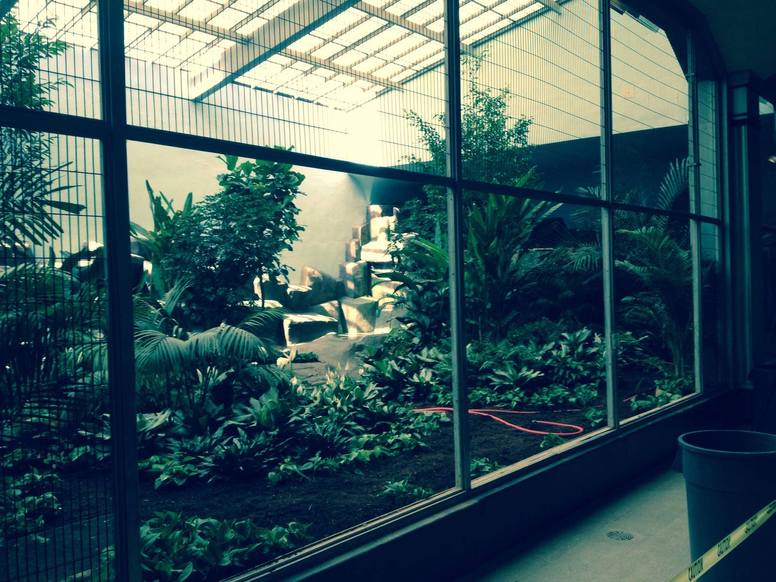 Feathers and Scales rainforest exhibit.