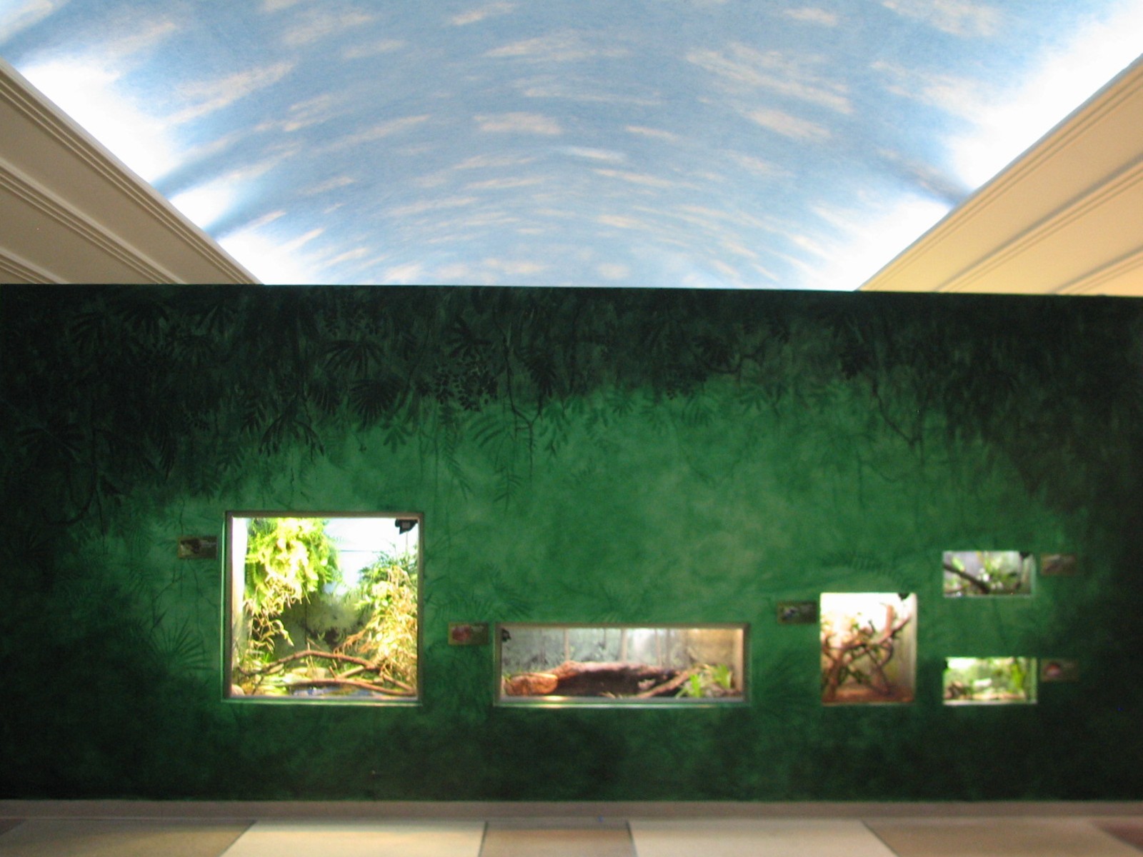 Feathers and Scales - Reptile Exhibits