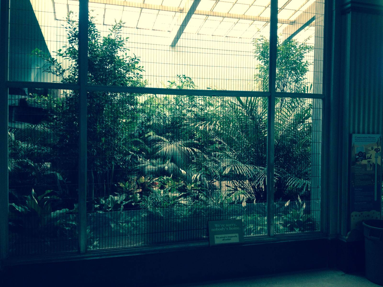 Feathers and scales .