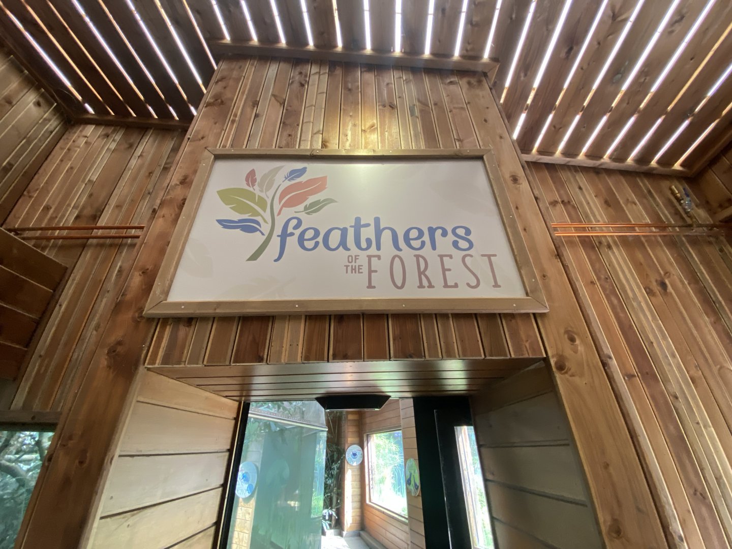 Feathers of the Forest 110925