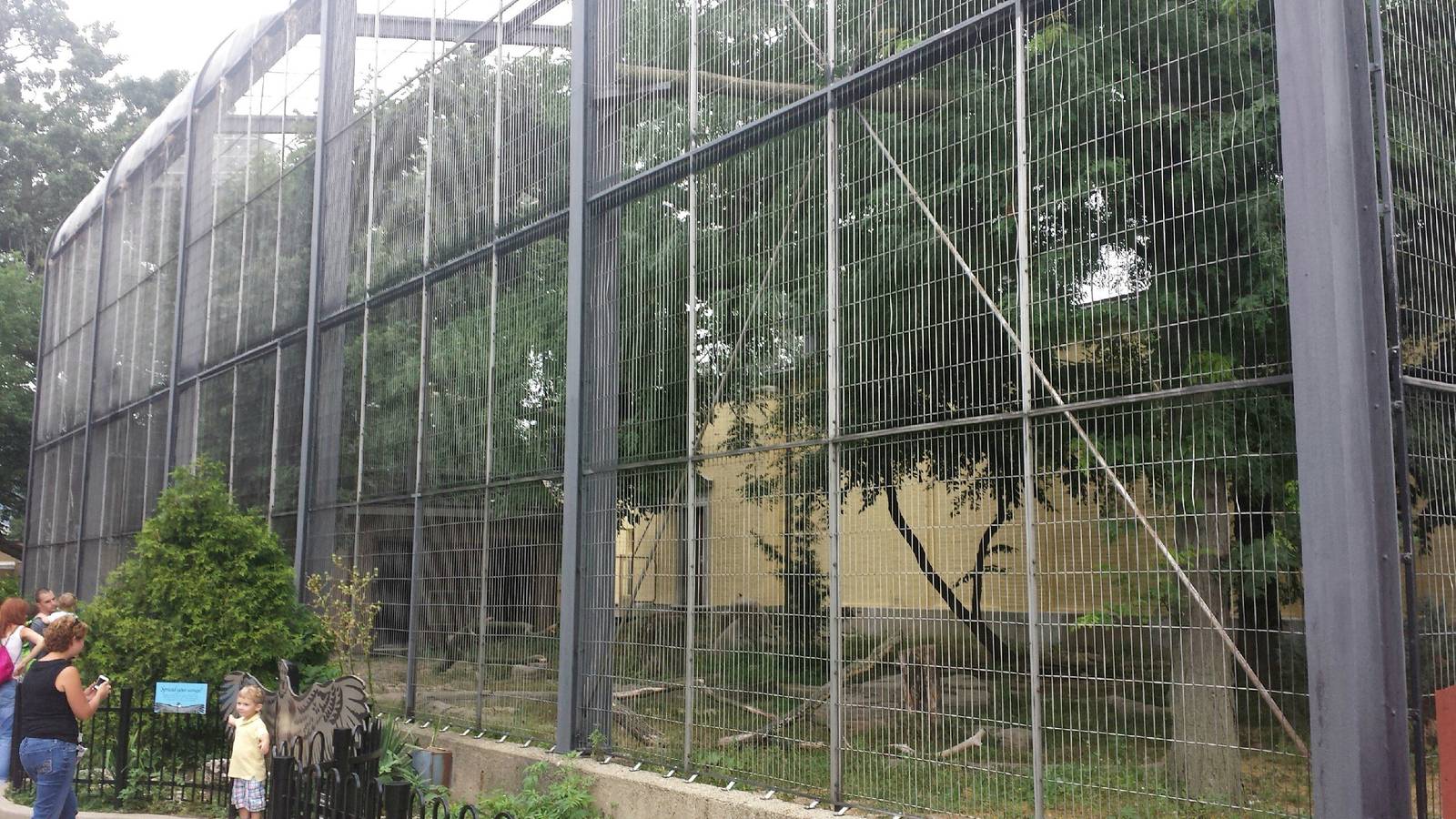 Feathers + Scales - Andean Condor Exhibit