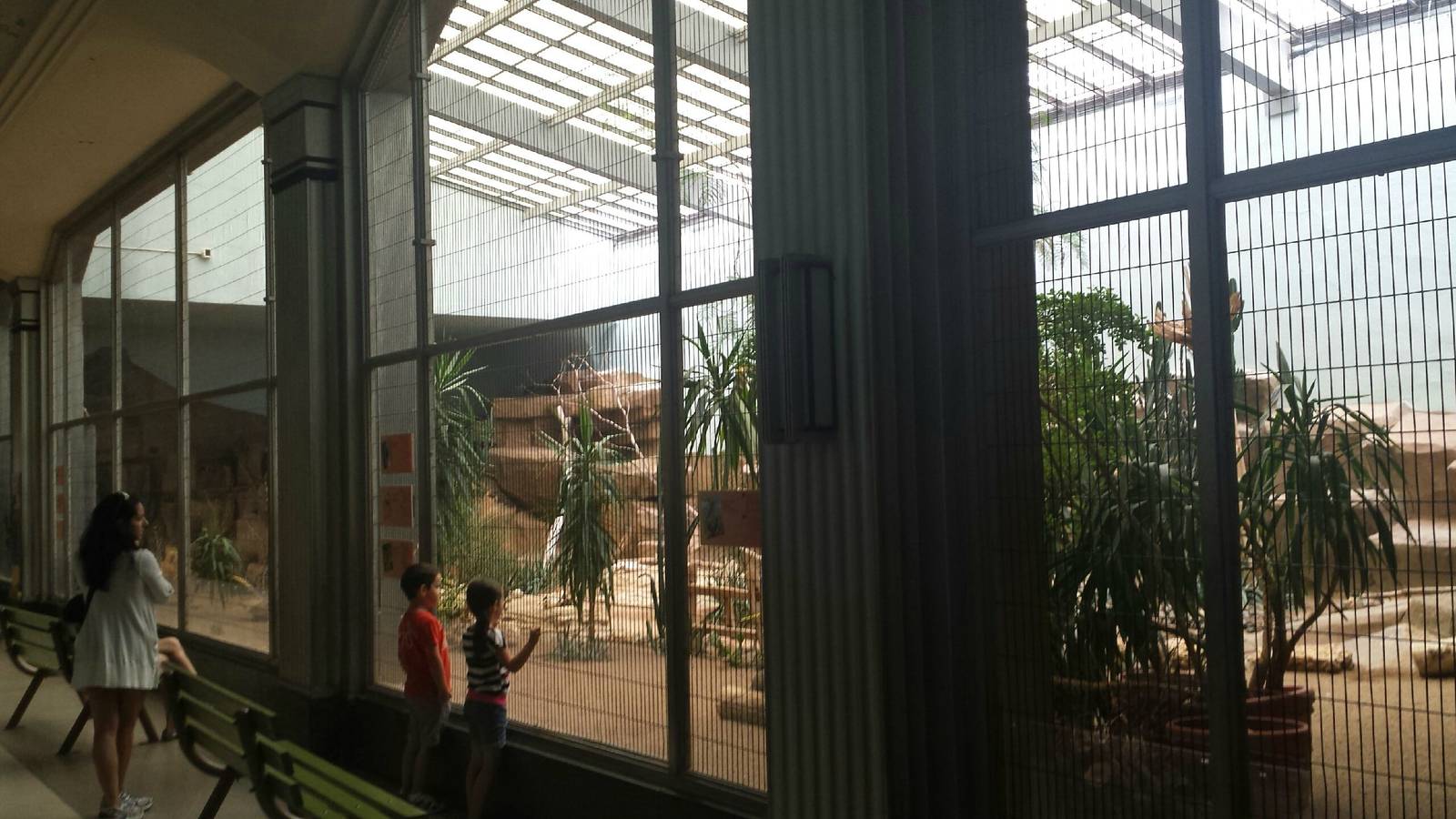 Feathers + Scales - Desert Bird Exhibit